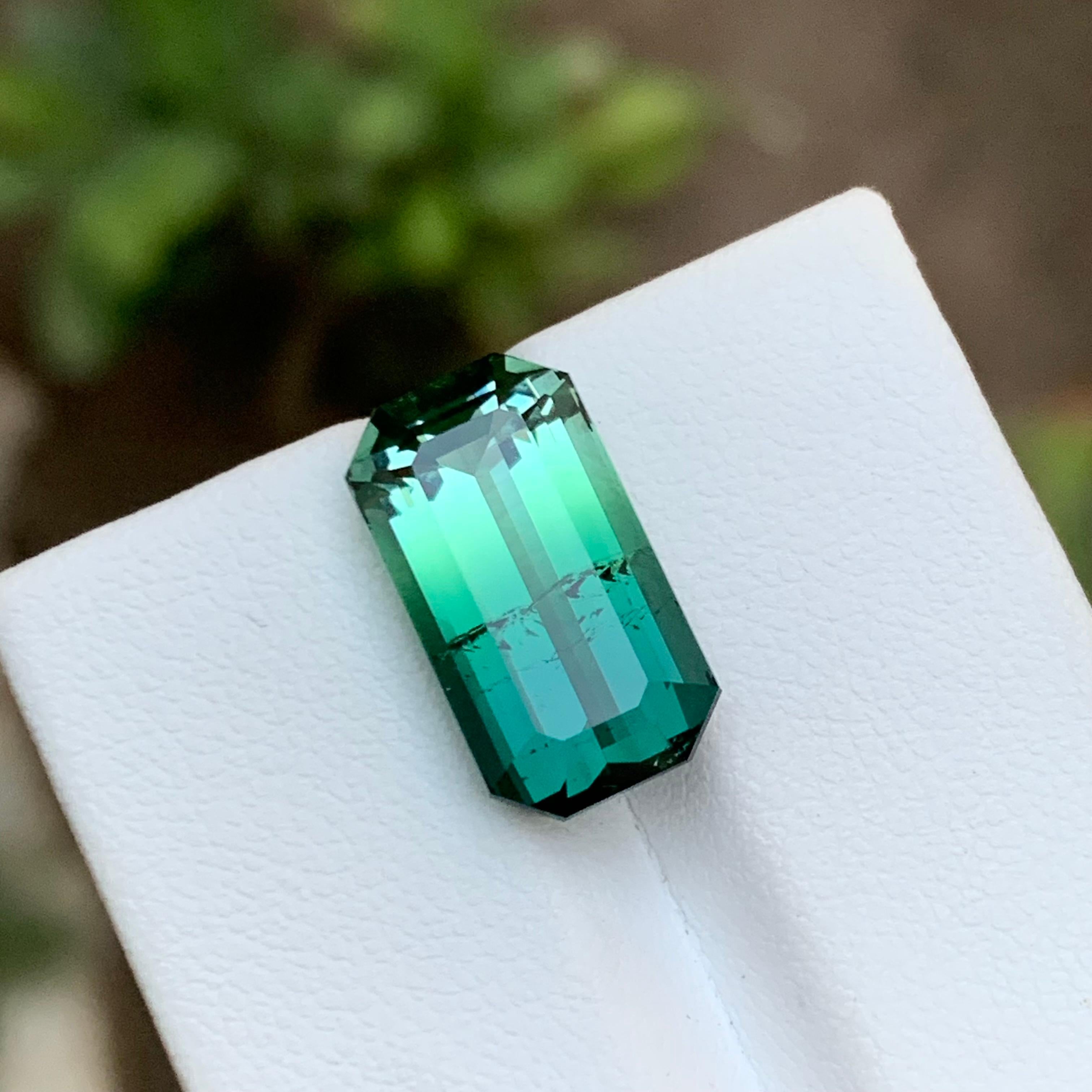 TYPE DE PIERRE GEMME : Tourmaline 
PIÈCE(S) : 1
Poids : 9,20 carats
FORME : Émeraude
Taille (MM) : 16,00 x 8,78 x 7,38
COULEUR : Vert bleuâtre et vert clair bicolore 
CLARTÉ : Légèrement incluse Approx 90%
TRAITEMENT : Aucun
ORIGINE : Kunar,