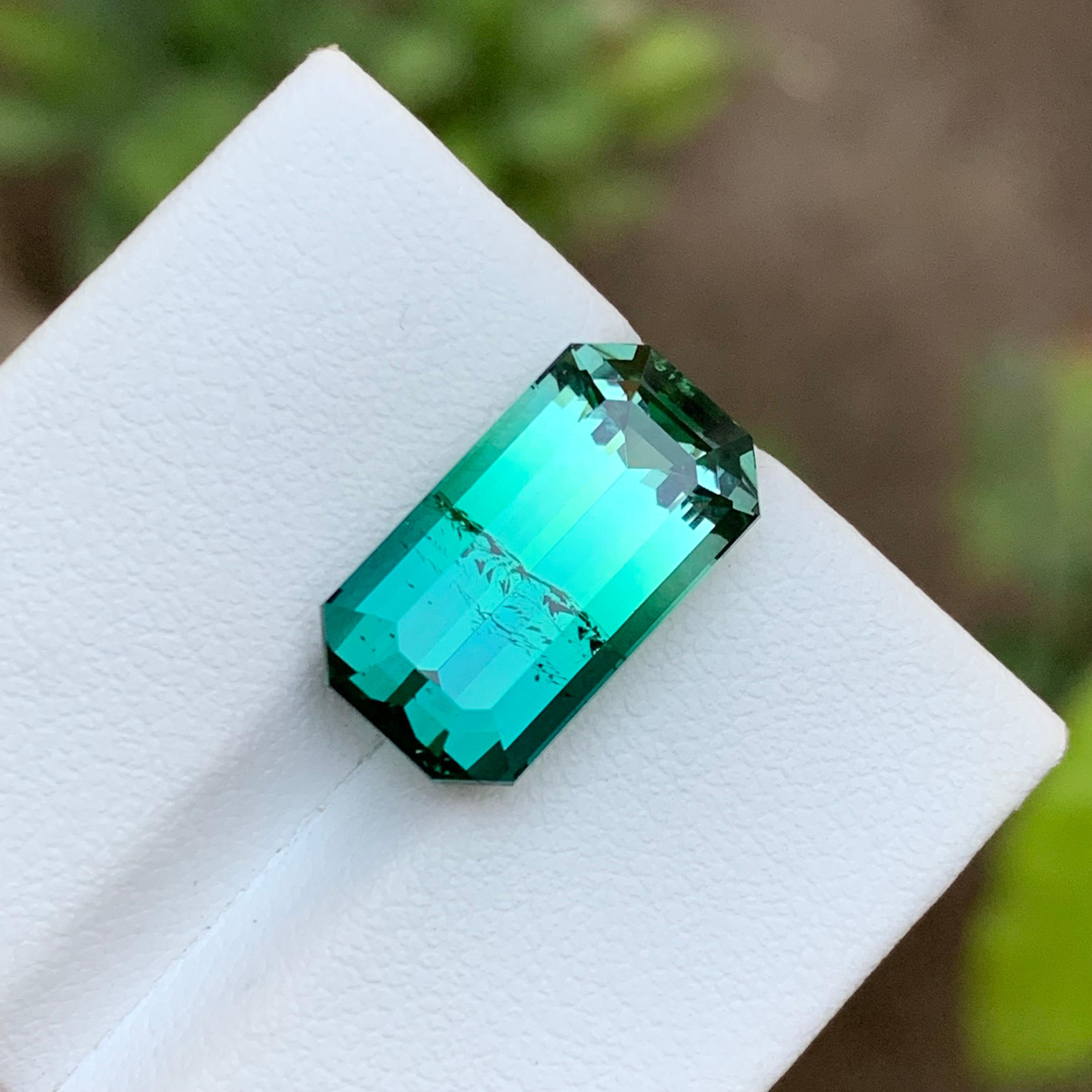 Bague tourmaline bicolore vert bleuté et vert clair, taille émeraude 9,20 carats Neuf - En vente à Peshawar, PK