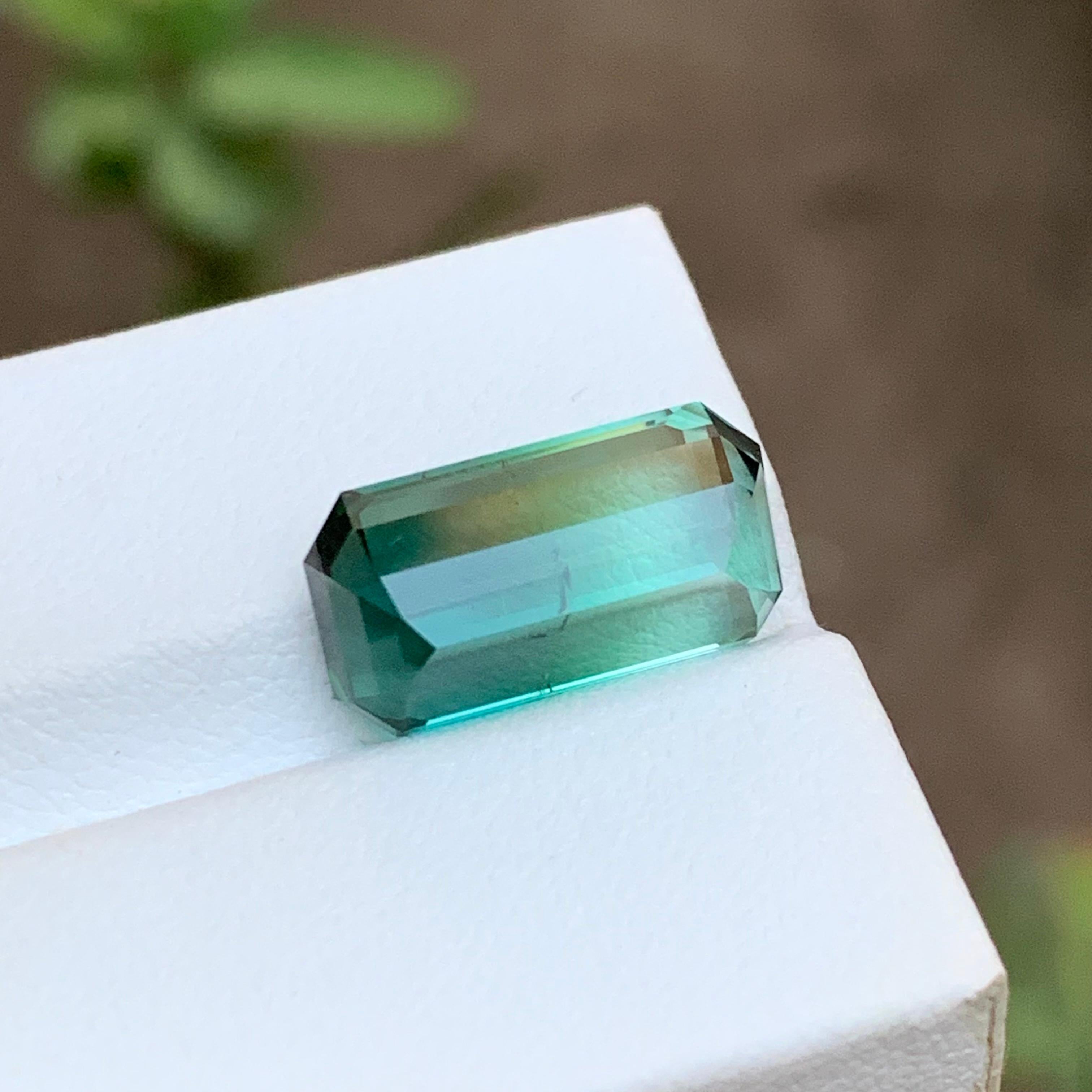 Bague tourmaline bicolore vert bleuté et vert clair, taille émeraude 9,20 carats en vente 2