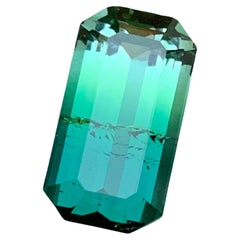 Blaugrüner & Light Green Bicolor Turmalin Ring Edelstein, 9,20 Karat Smaragdschliff