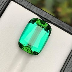 Seltener bläulich grüner natürlicher Turmalin, loser Edelstein, 11,10 Ct-Step Cushion Afgh.