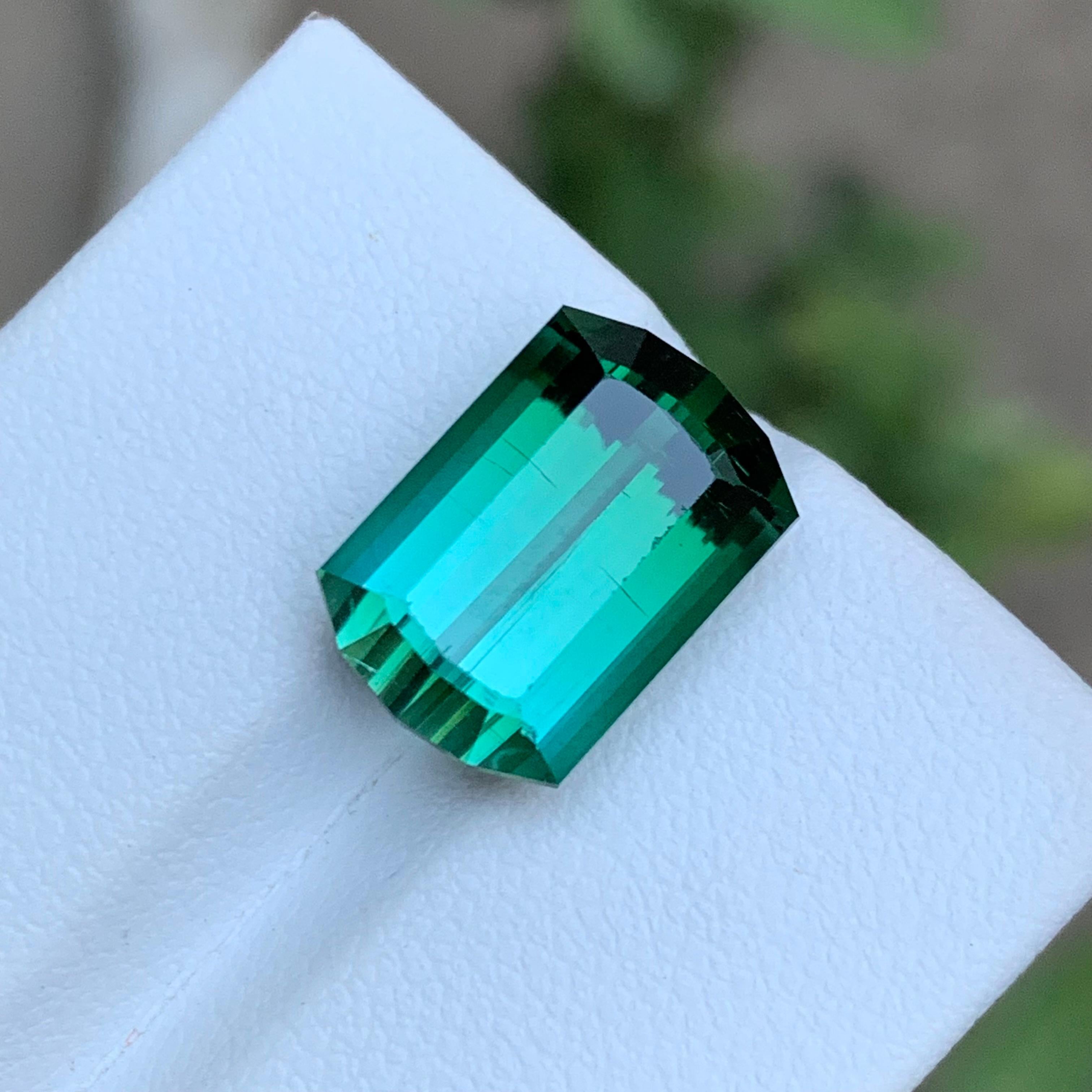 Rare Tourmaline vert bleuté à deux tons, 10 Ct Modified Emerald Cut en vente 7