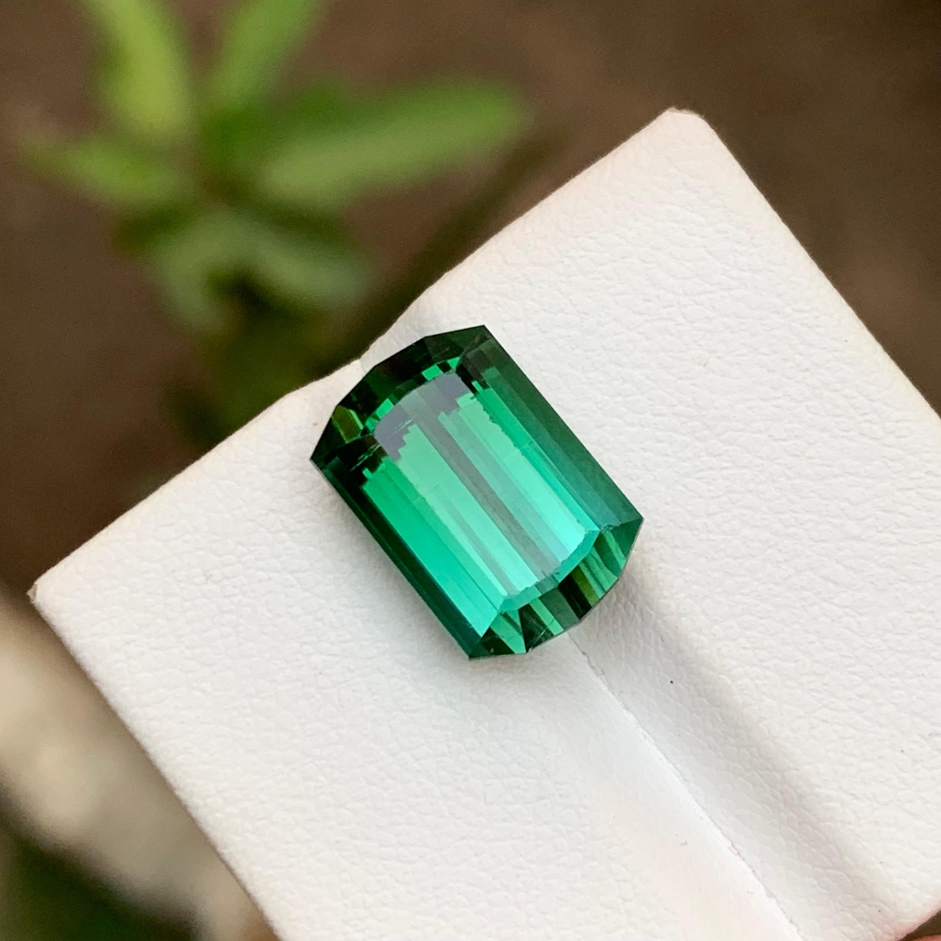 Rare Tourmaline vert bleuté à deux tons, 10 Ct Modified Emerald Cut en vente 1