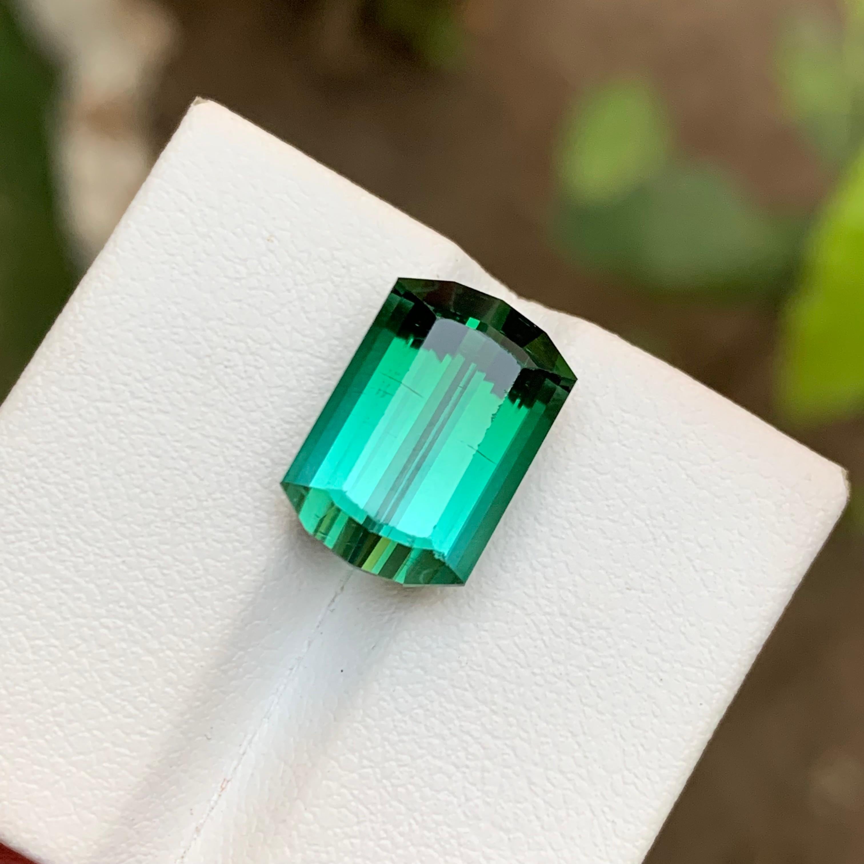 Rare Tourmaline vert bleuté à deux tons, 10 Ct Modified Emerald Cut en vente 2