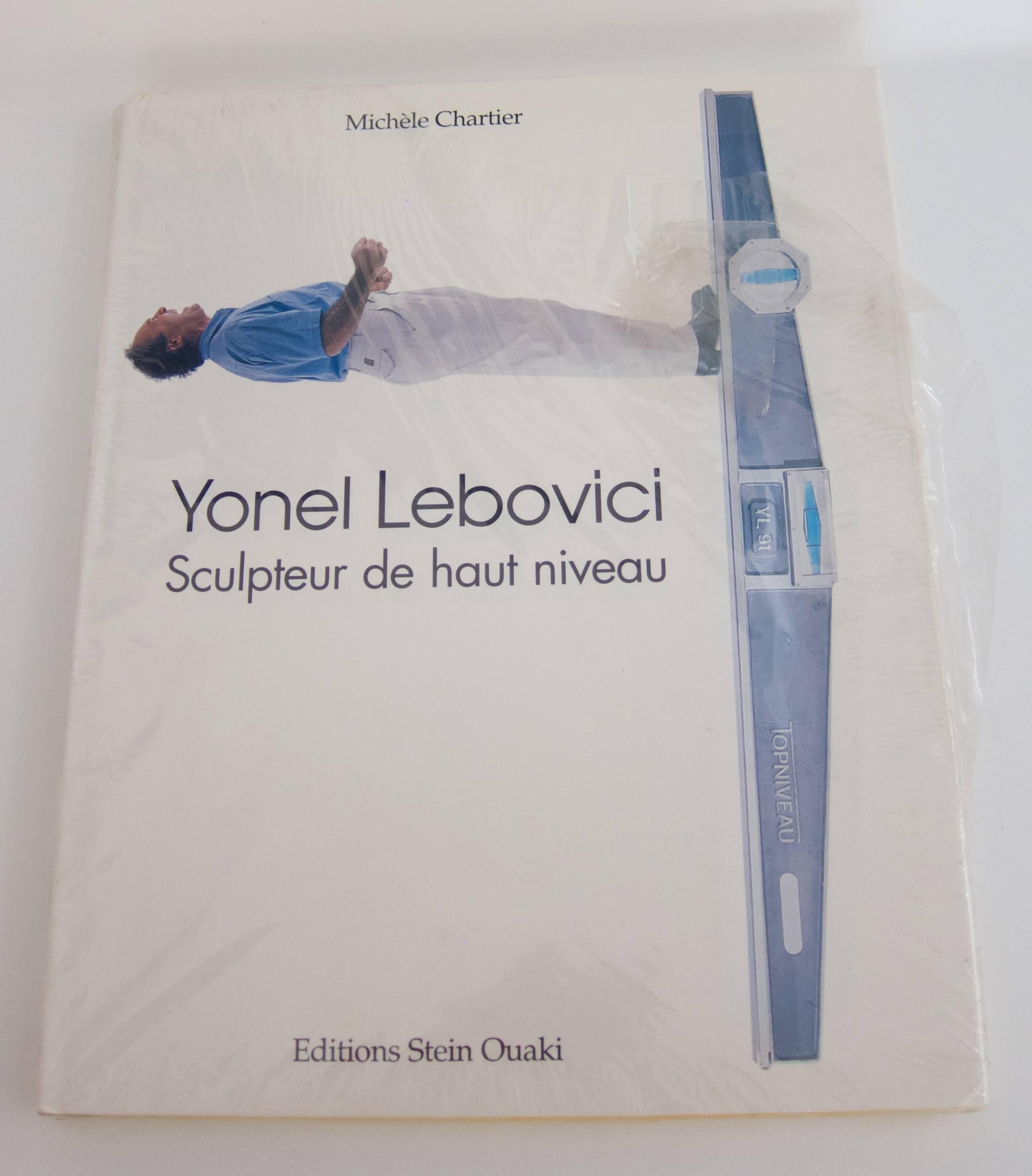 Rare Book: Yonel Lebovici, Sculpteur de haut niveau For Sale 2