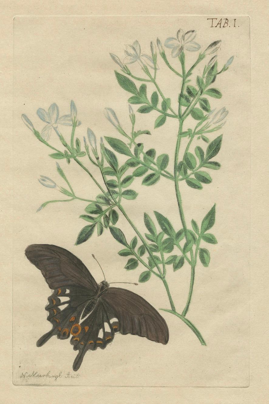 Rare Botanical Beauties with Butterflies – 1775 Plates from Meerburgh’s Garden For Sale 5