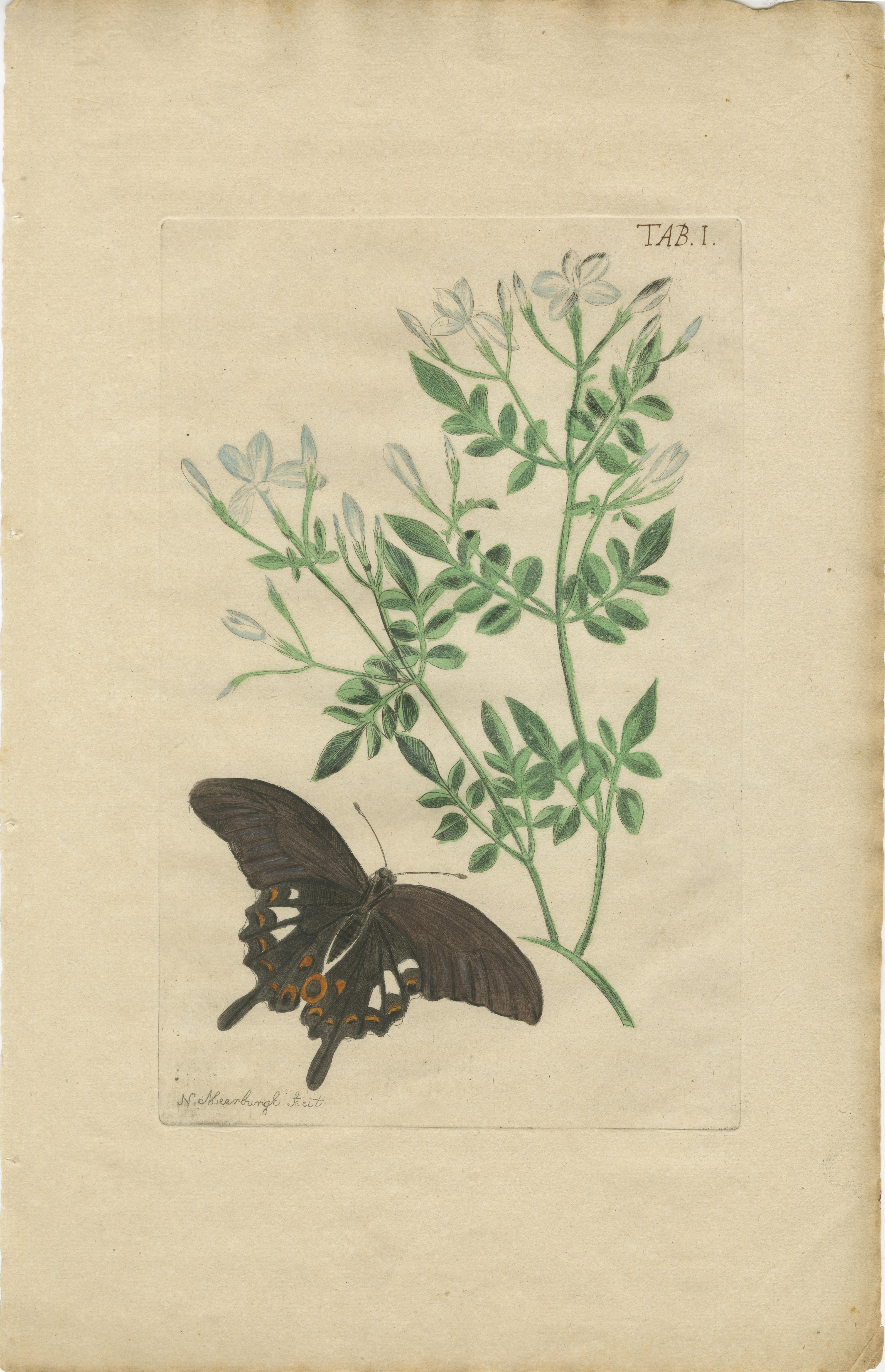 Botanical Trio with Butterflies – From Nicolaas Meerburgh’s 'Afbeeldingen van Zeldzaame Gewassen'

This elegant trio of hand-colored botanical prints, featuring delicately illustrated flowering plants accompanied by butterflies, originates from the