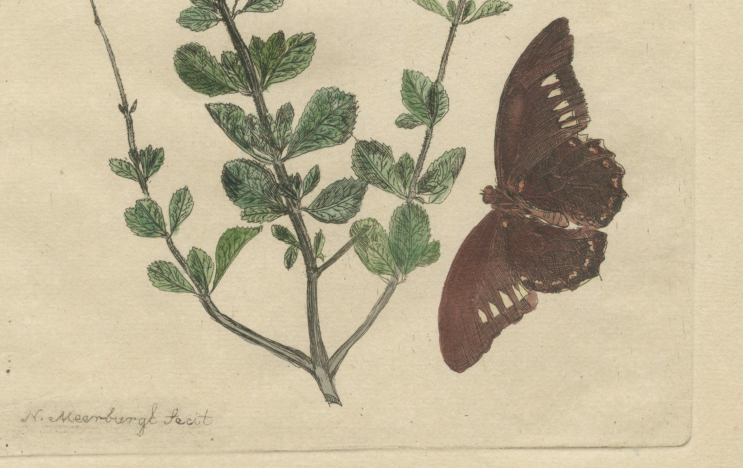 Rare Botanical Beauties with Butterflies – 1775 Plates from Meerburgh’s Garden In Good Condition For Sale In Langweer, NL