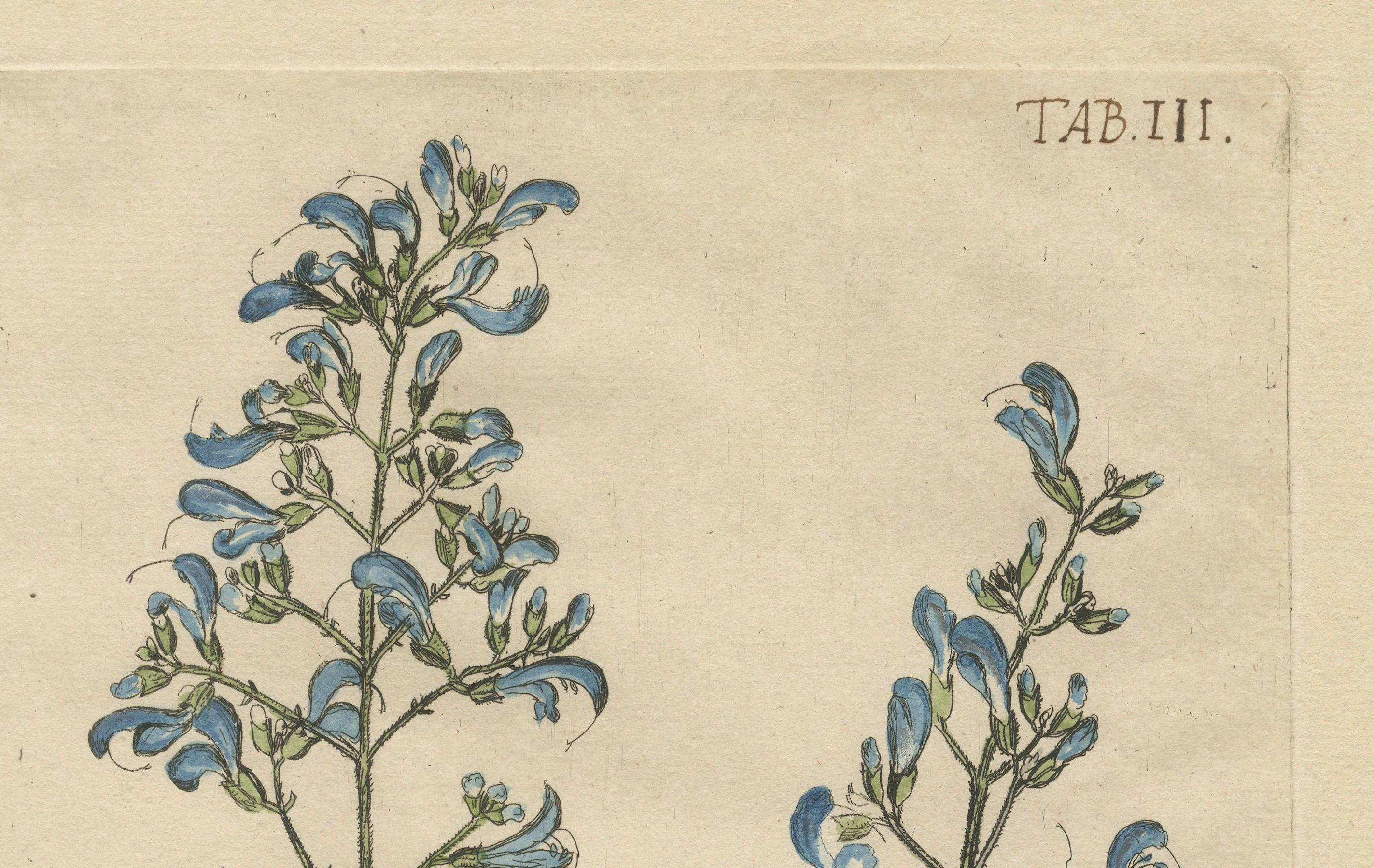 18th Century Rare Botanical Beauties with Butterflies – 1775 Plates from Meerburgh’s Garden For Sale