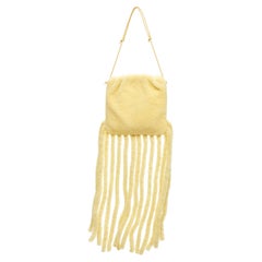 rare BOTTEGA VENETA Daniel Lee Runway beige shearling fringe crossbody clutch