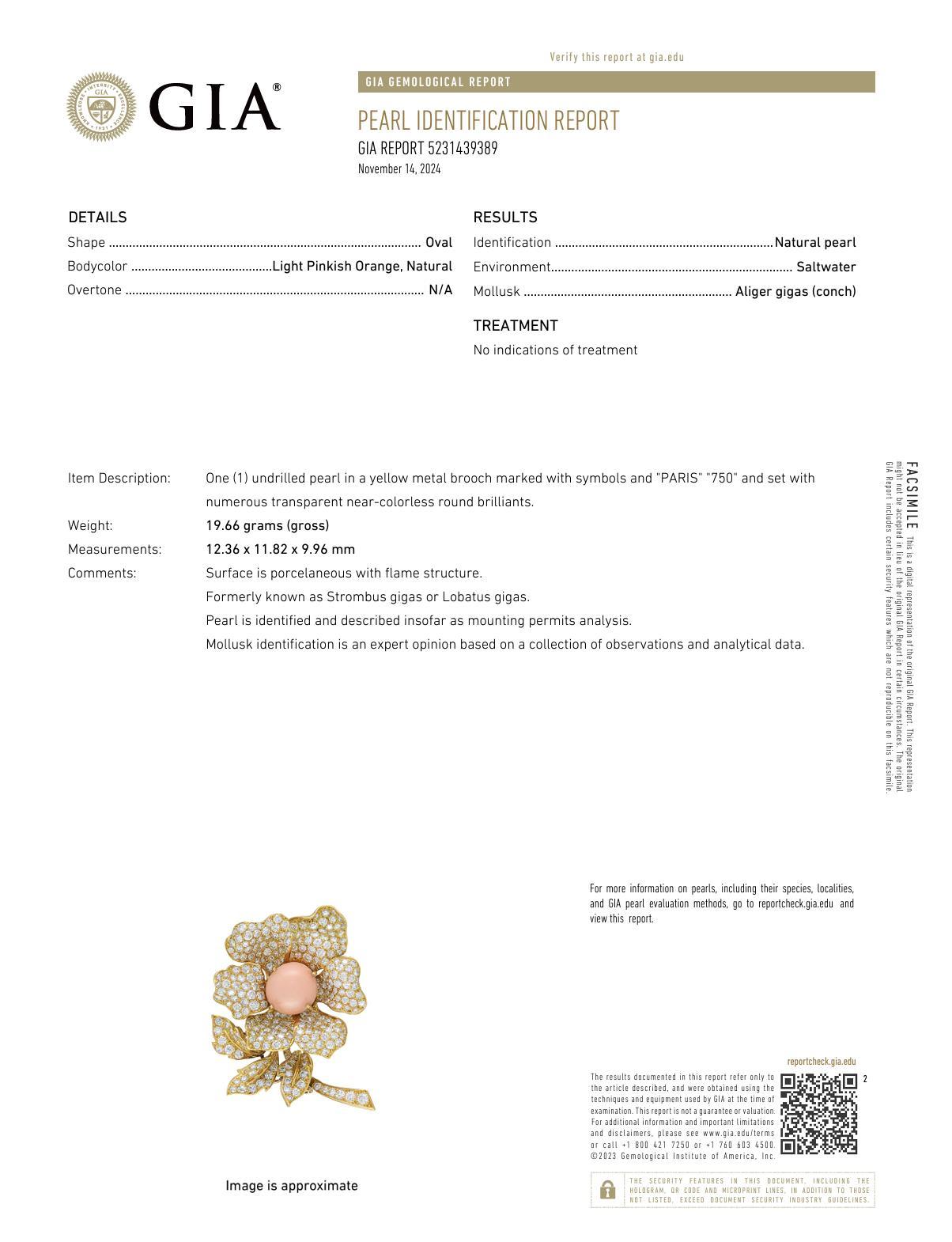 Women's or Men's Rare Boucheron Paris natural conch pearl diamond 18k gold flower brooch