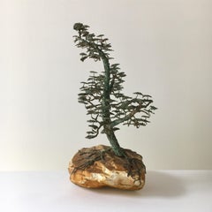 Rare Bronze of a Bonsai Tree in Full Leaf, 1960s