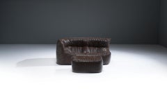Rare brown leather Aralia Lounge Sofa 1979 by Michel Ducaroy for Ligne Roset