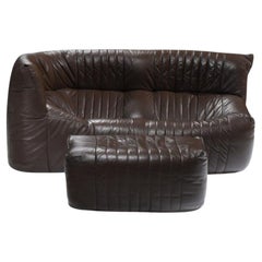 Rare brown leather Aralia Lounge Sofa 1979 by Michel Ducaroy for Ligne Roset