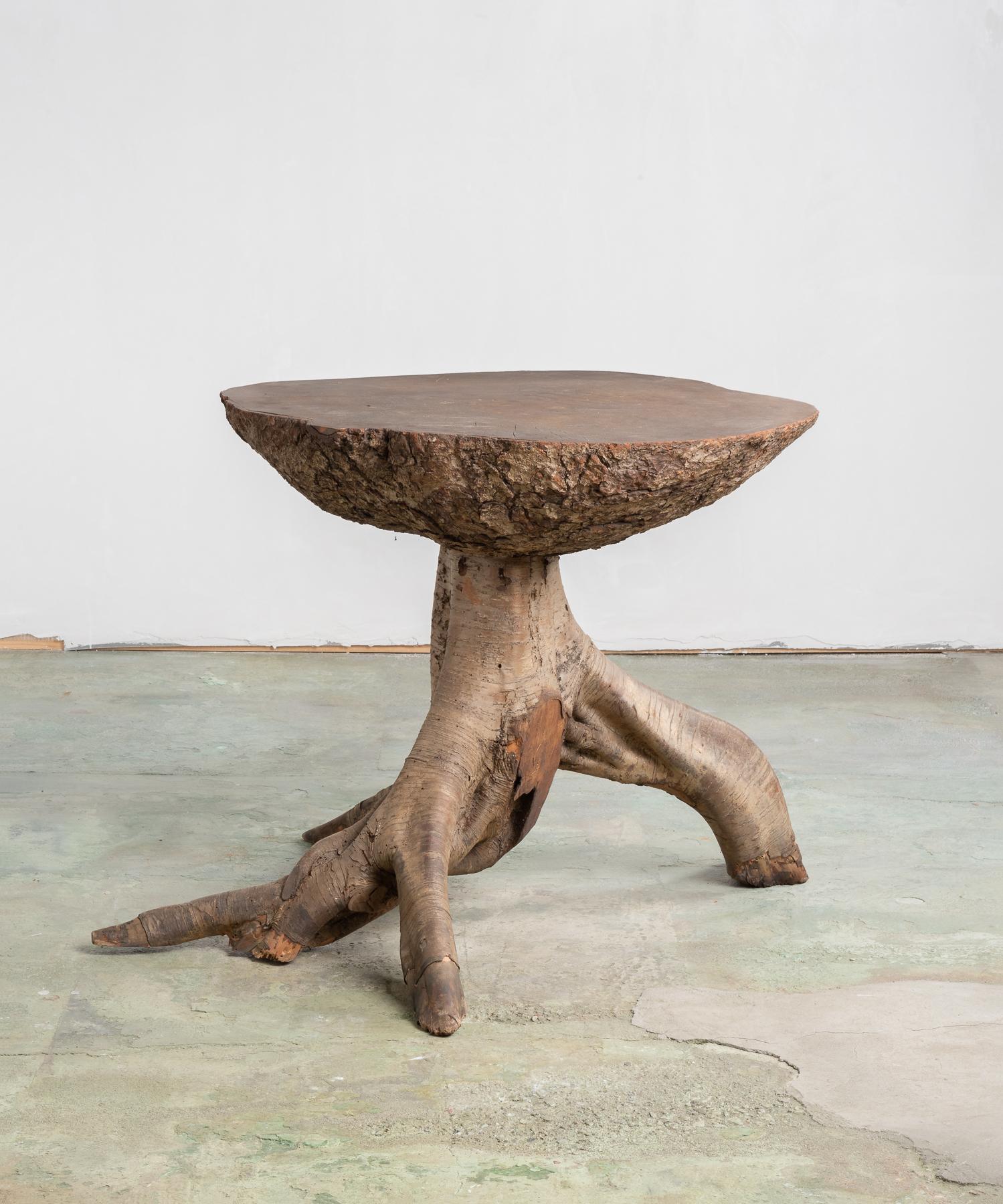 Rare burl wood table, America, circa 1920.

Incredible Primitive form sits atop a golden birch tree base. Originally from Southern New Hampshire.