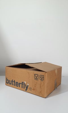 Rare Butterfly Sconce / Wall Lamp By Afra & Tobia Scarpa for Flos,  Italy 80s