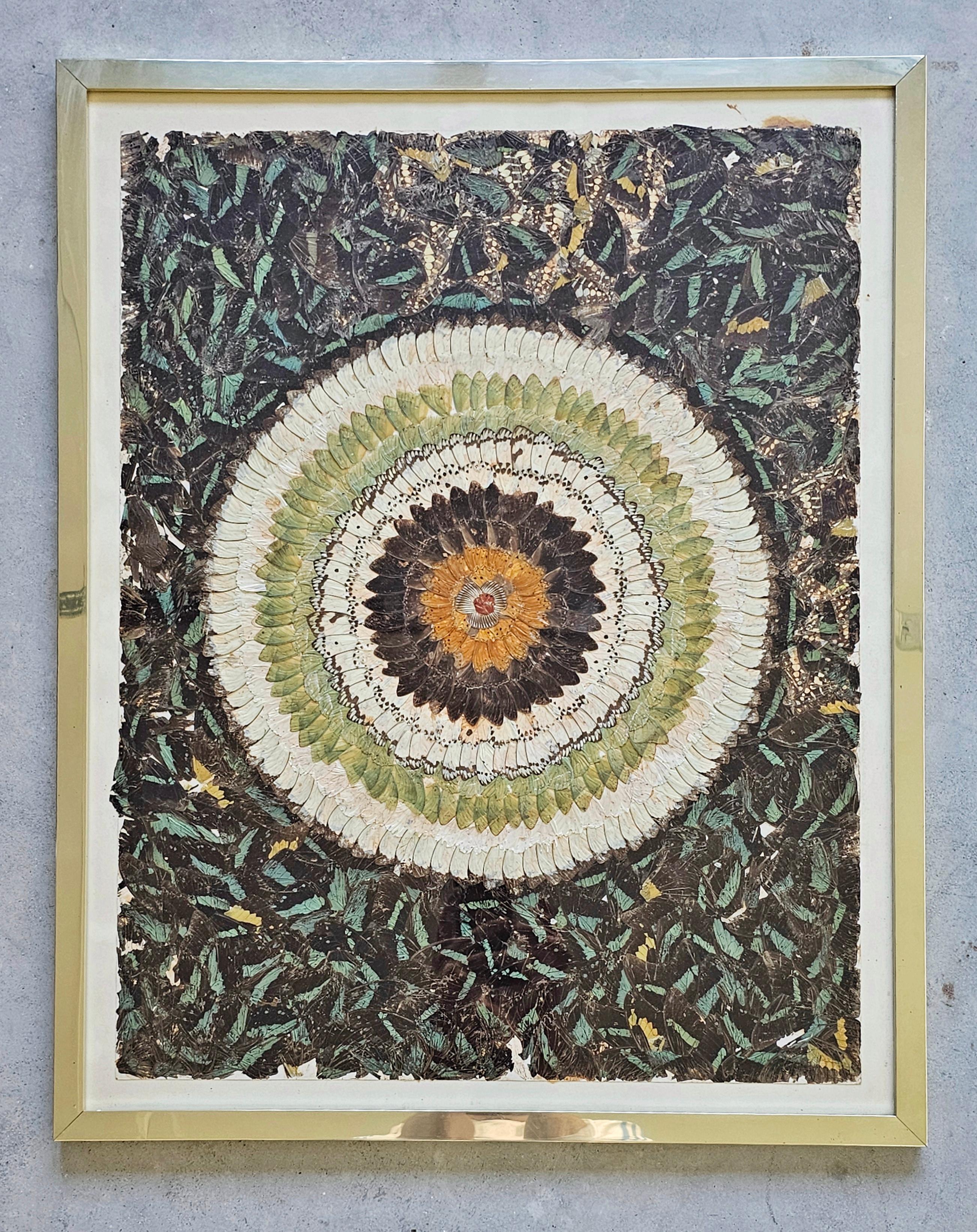Rare Butterfly Wings Kaleidoscope, framed wall mount art, France 1930s For Sale 3
