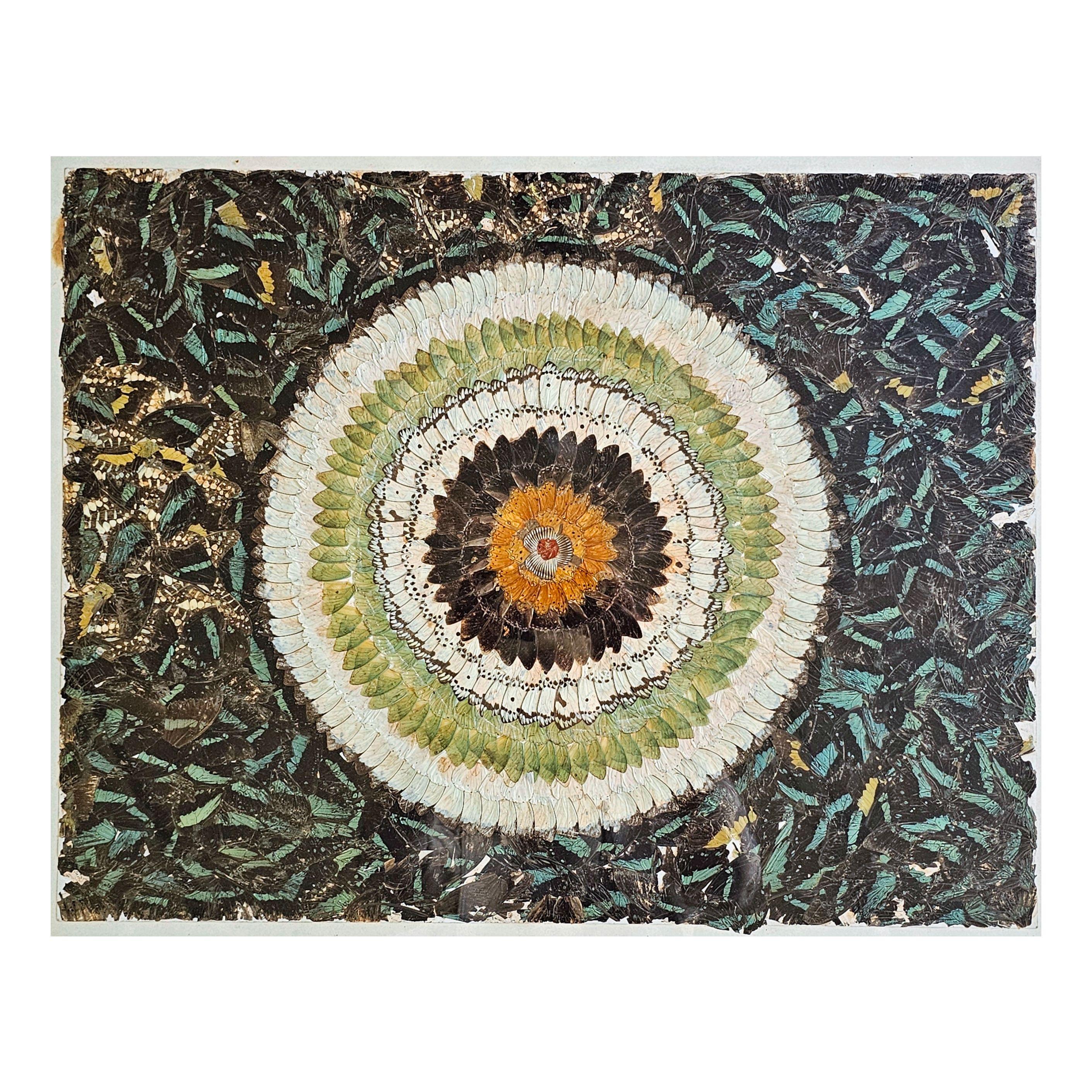 In this listing you will find a rare wall mounted and framed piece of art, made on butterfly and moth wings. The wings are creating a beautiful kaleidoscope-like shape, with many colors on various kinds of butterflies and moths. Made in France cca.
