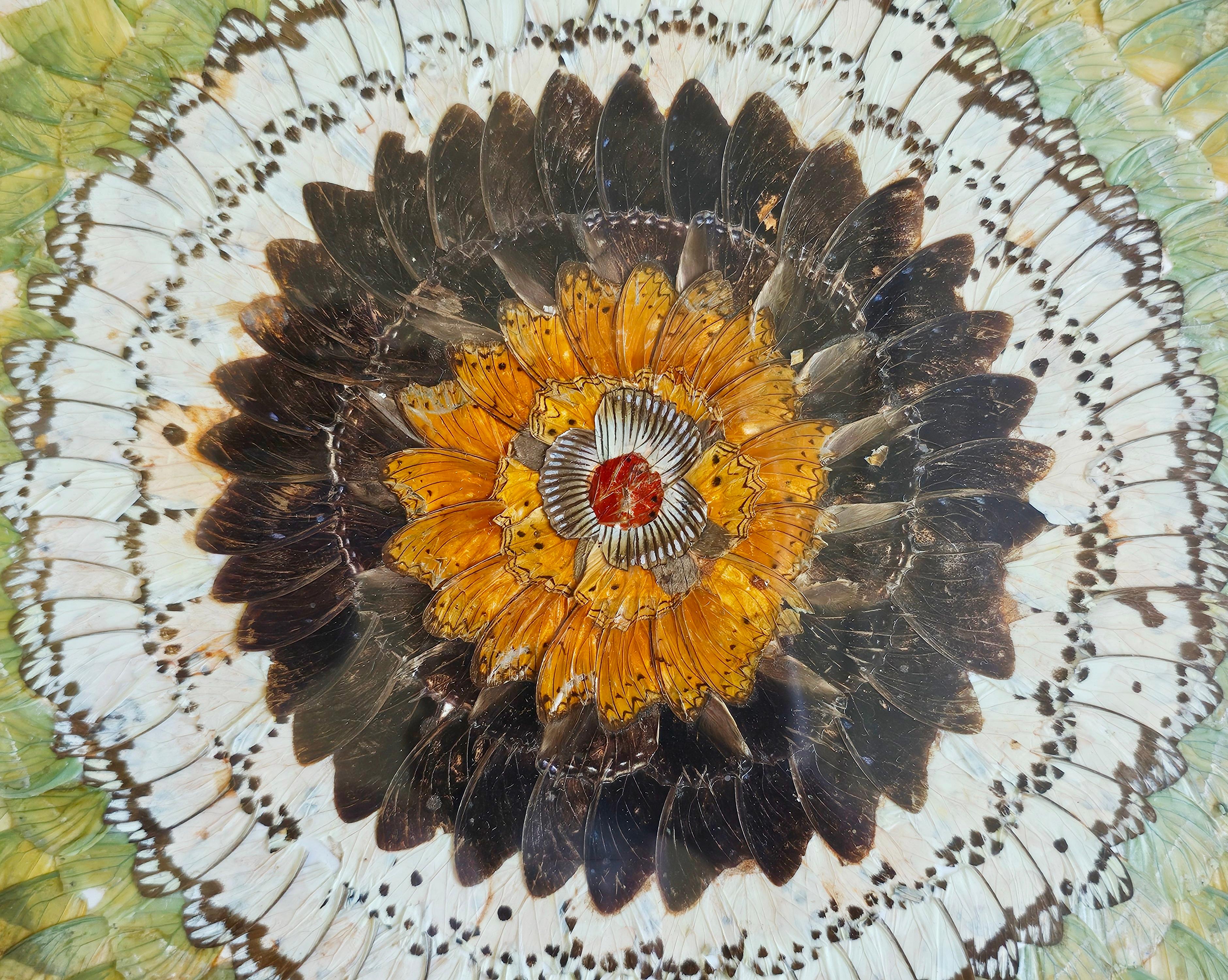 Rare Butterfly Wings Kaleidoscope, framed wall mount art, France 1930s For Sale 1