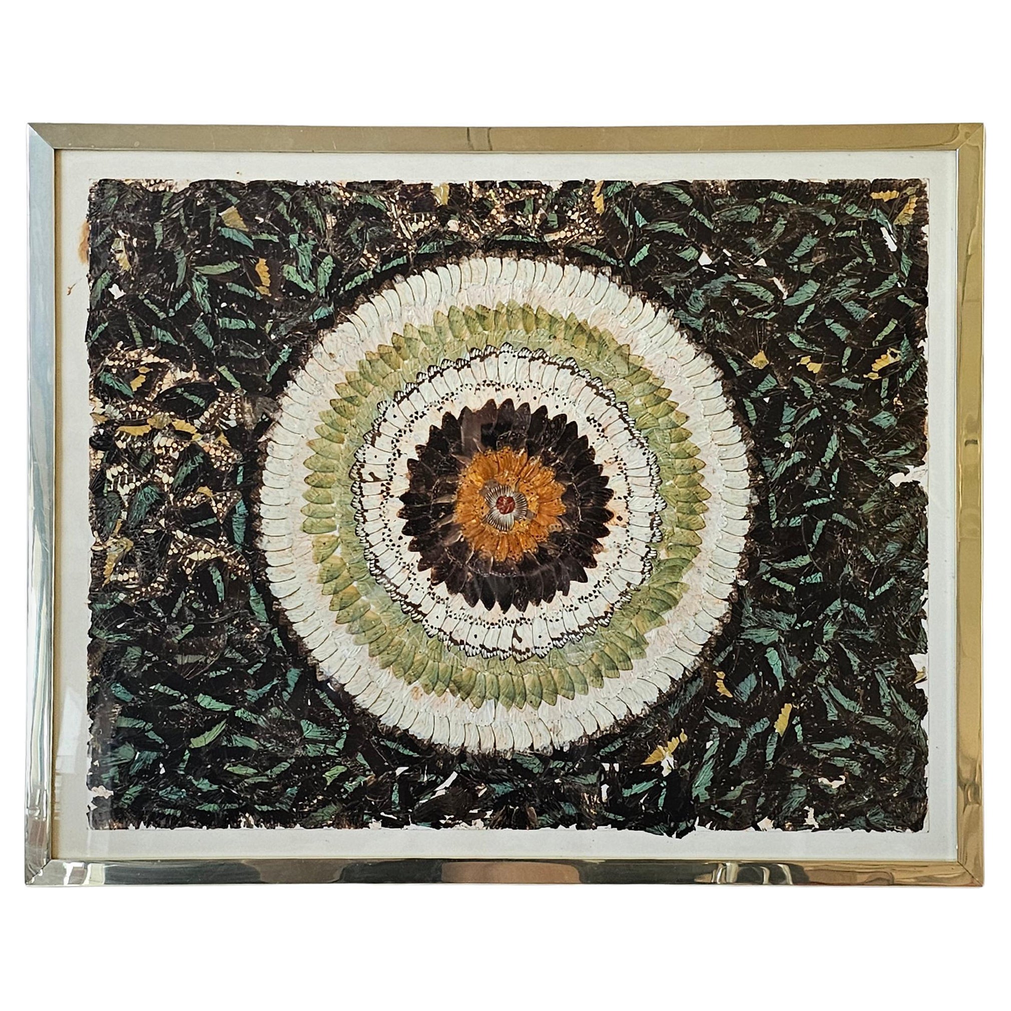 Rare Butterfly Wings Kaleidoscope, framed wall mount art, France 1930s For Sale