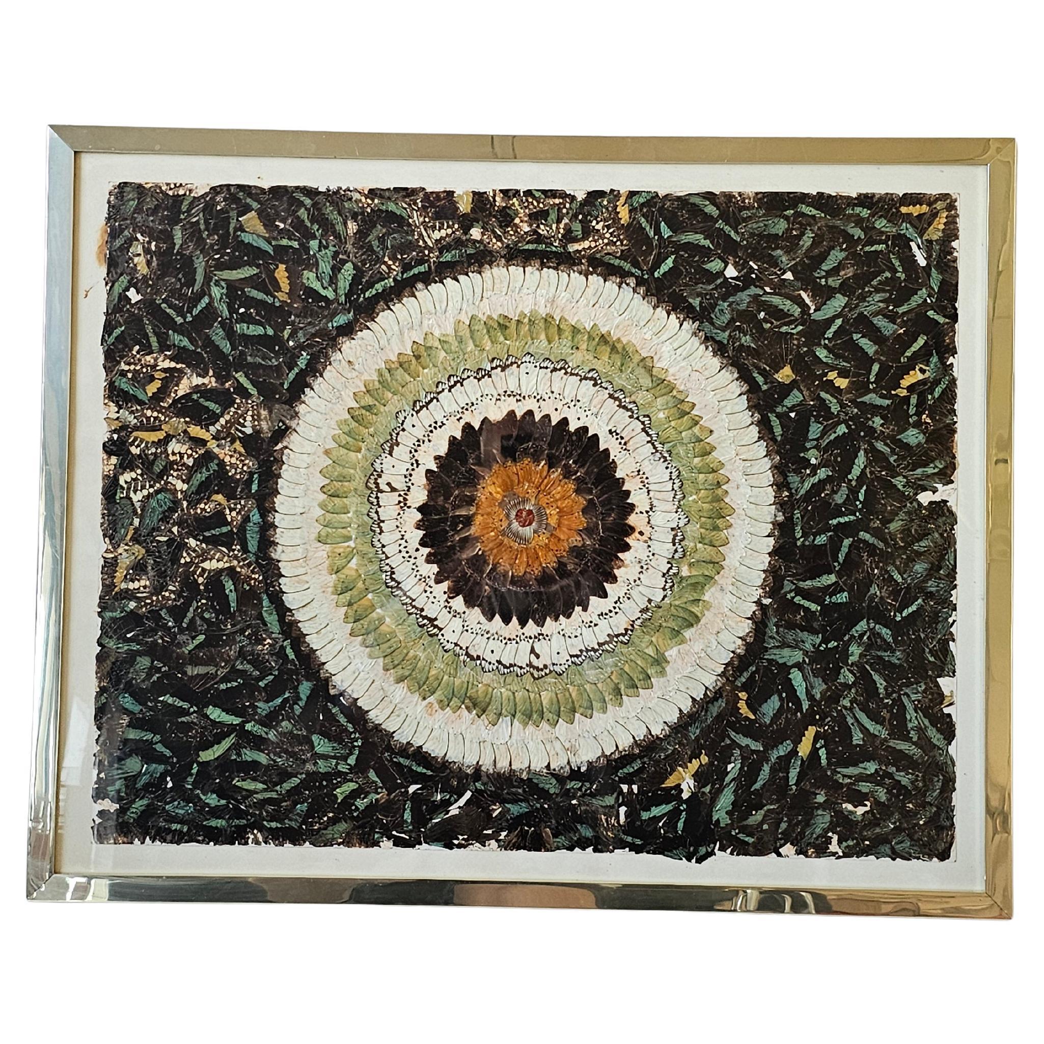 Rare Butterfly Wings Kaleidoscope, framed wall mount art, France 1930s