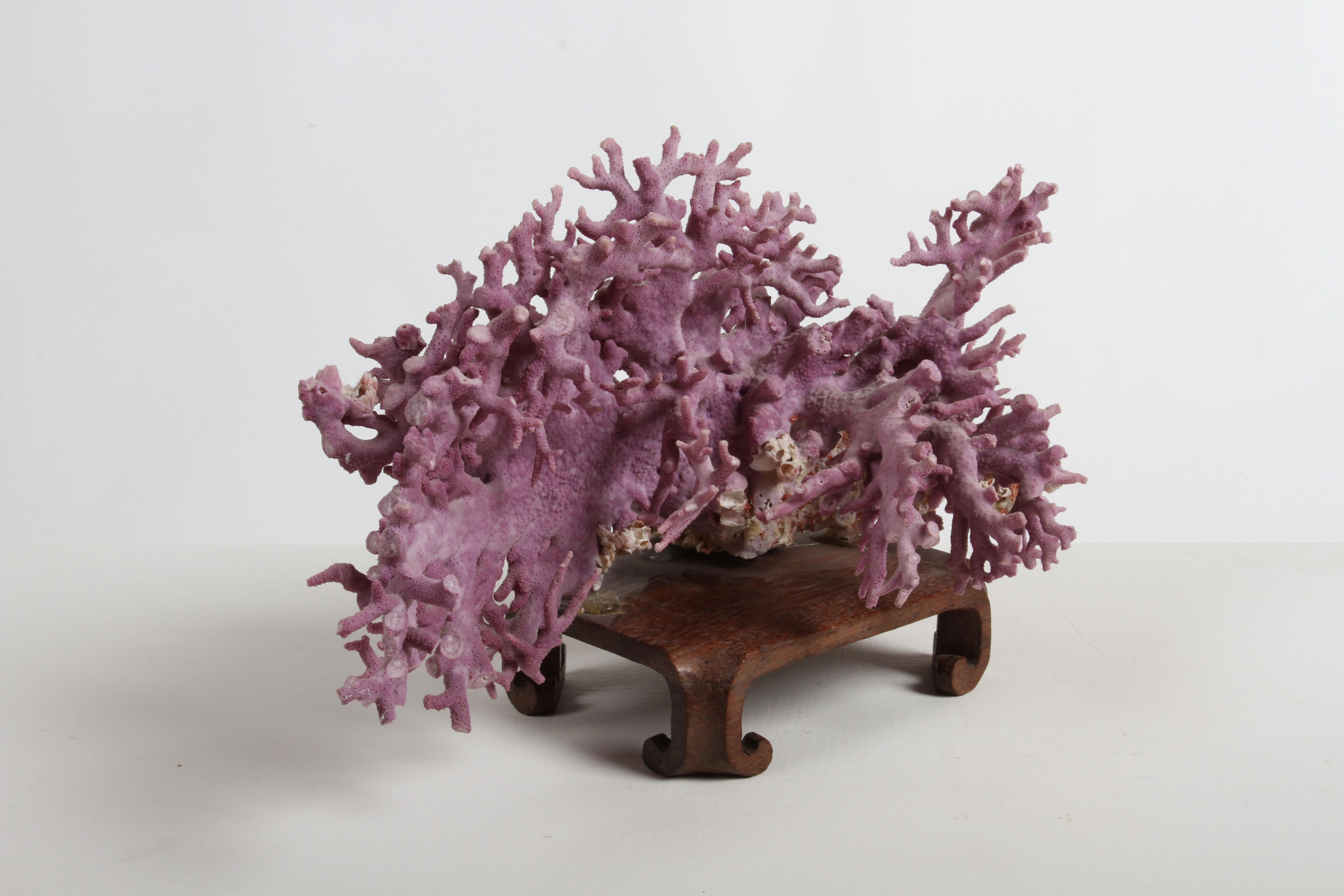 purple coral for sale