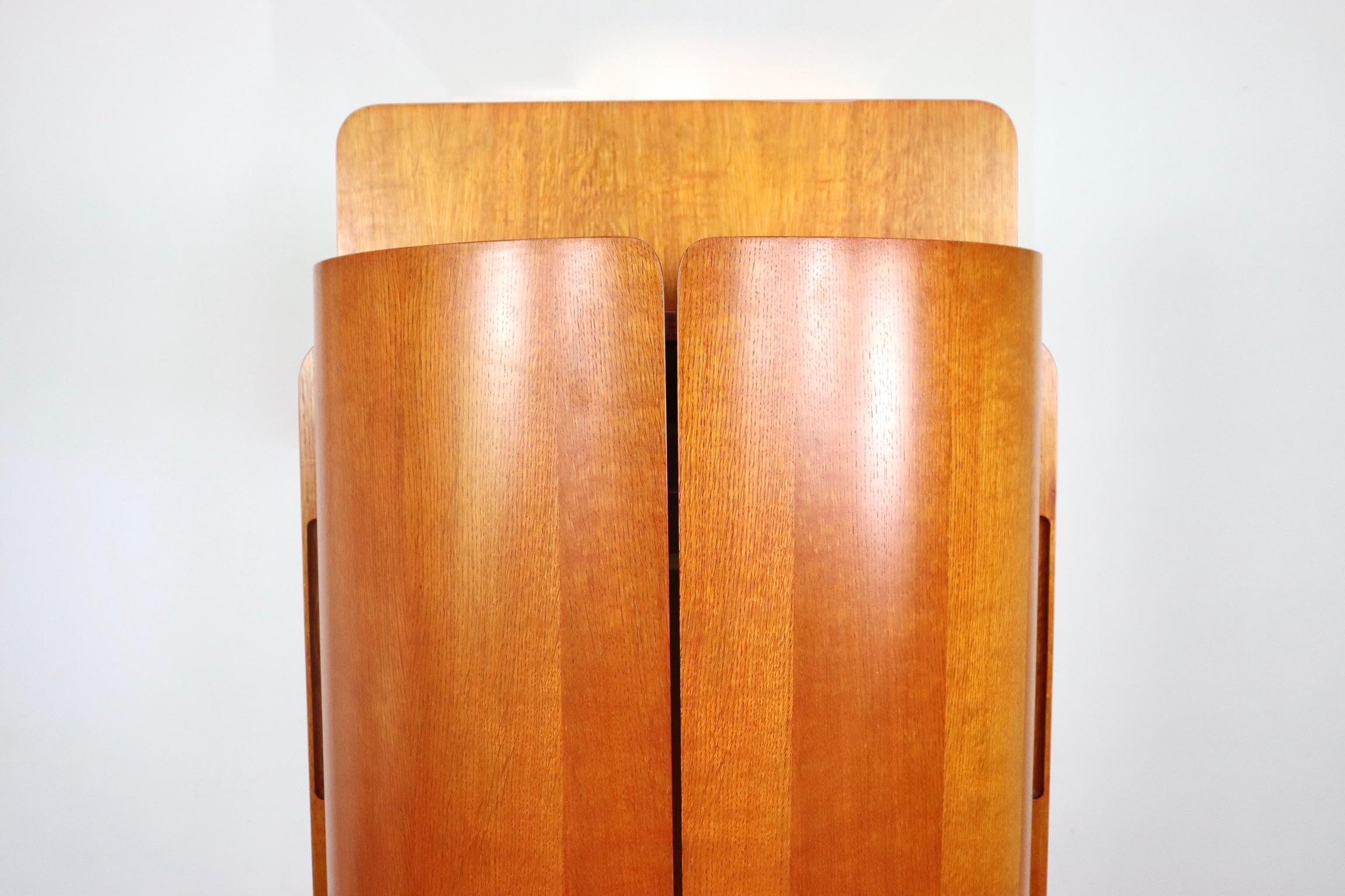 Mid-20th Century Rare Carlo de Carli Swivel coat rack vanity wardrobe for Fiarm, 1960s