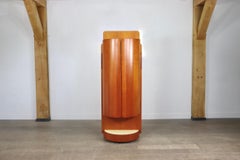 Rare Carlo De Carli Swivel Vanity Wardrobe for Fiarm, Italy 1960s