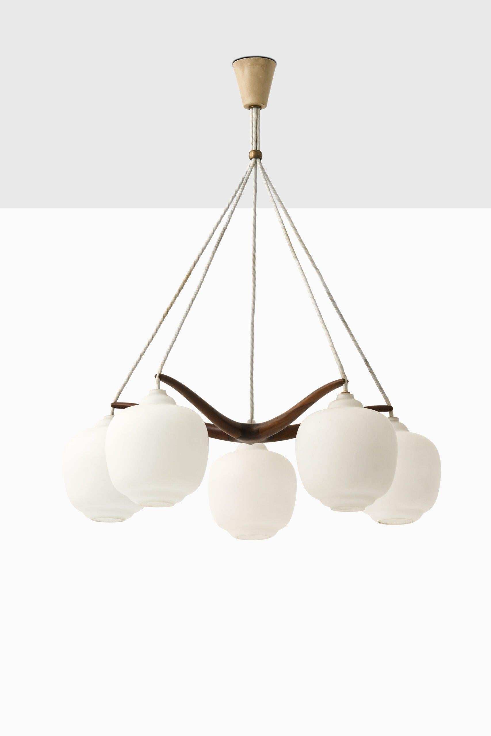 Mid-Century Modern Rare plafonnier en verre opalin et noyer, années 1950 en vente