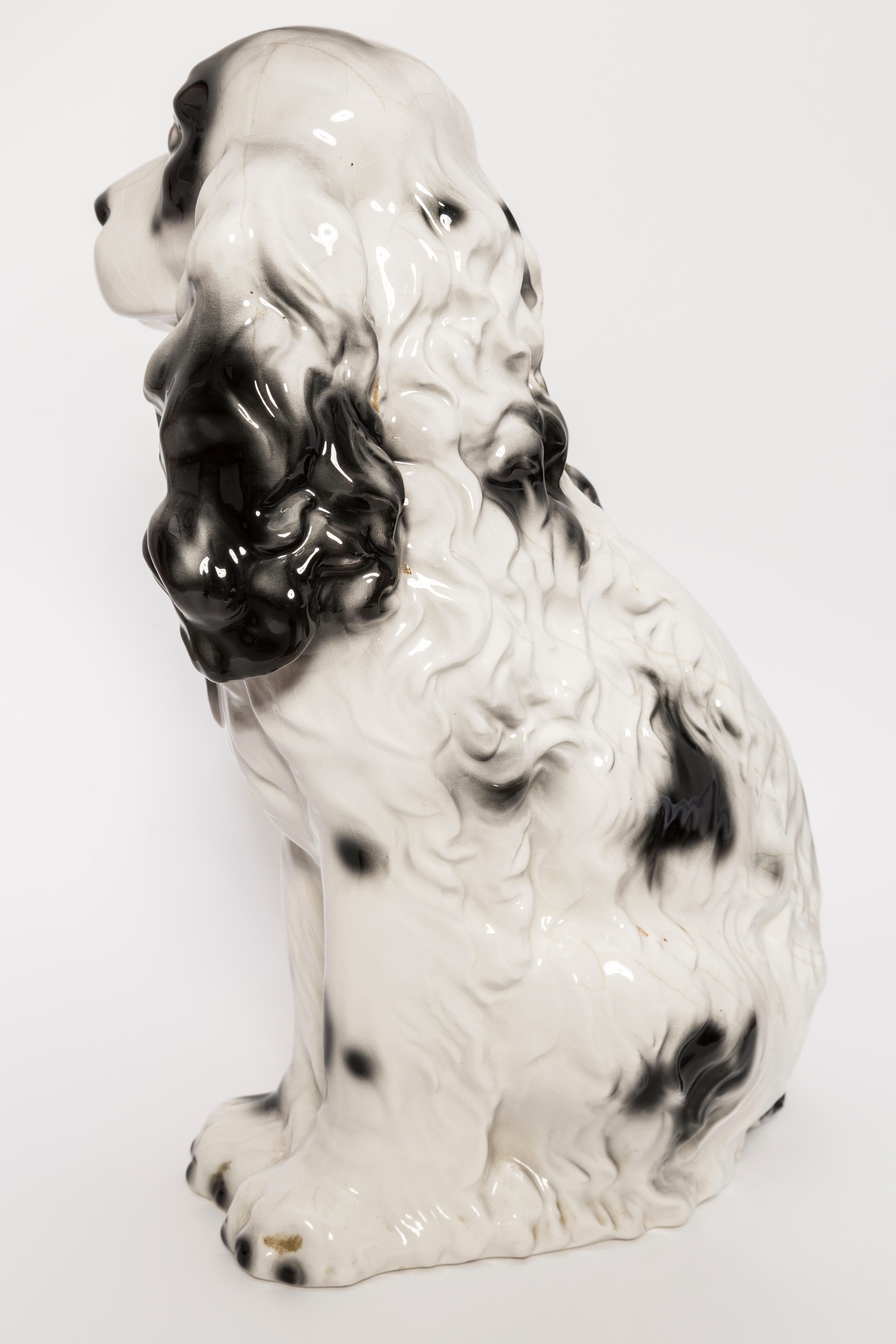 Rare Ceramic Black and White Spaniel Dog Decorative Sculpture, Italy, 1960s 4