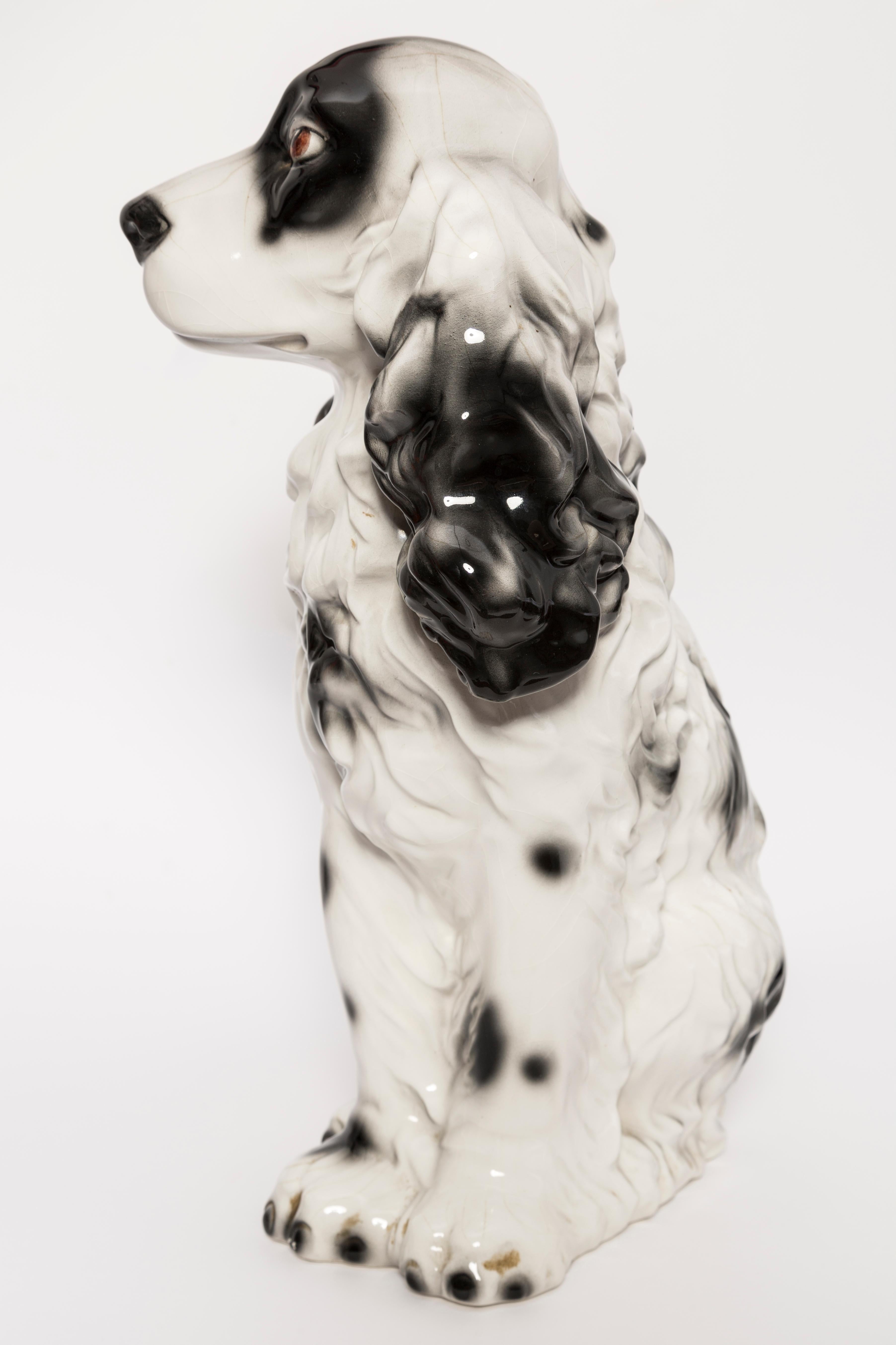 Rare Ceramic Black and White Spaniel Dog Decorative Sculpture, Italy, 1960s 5