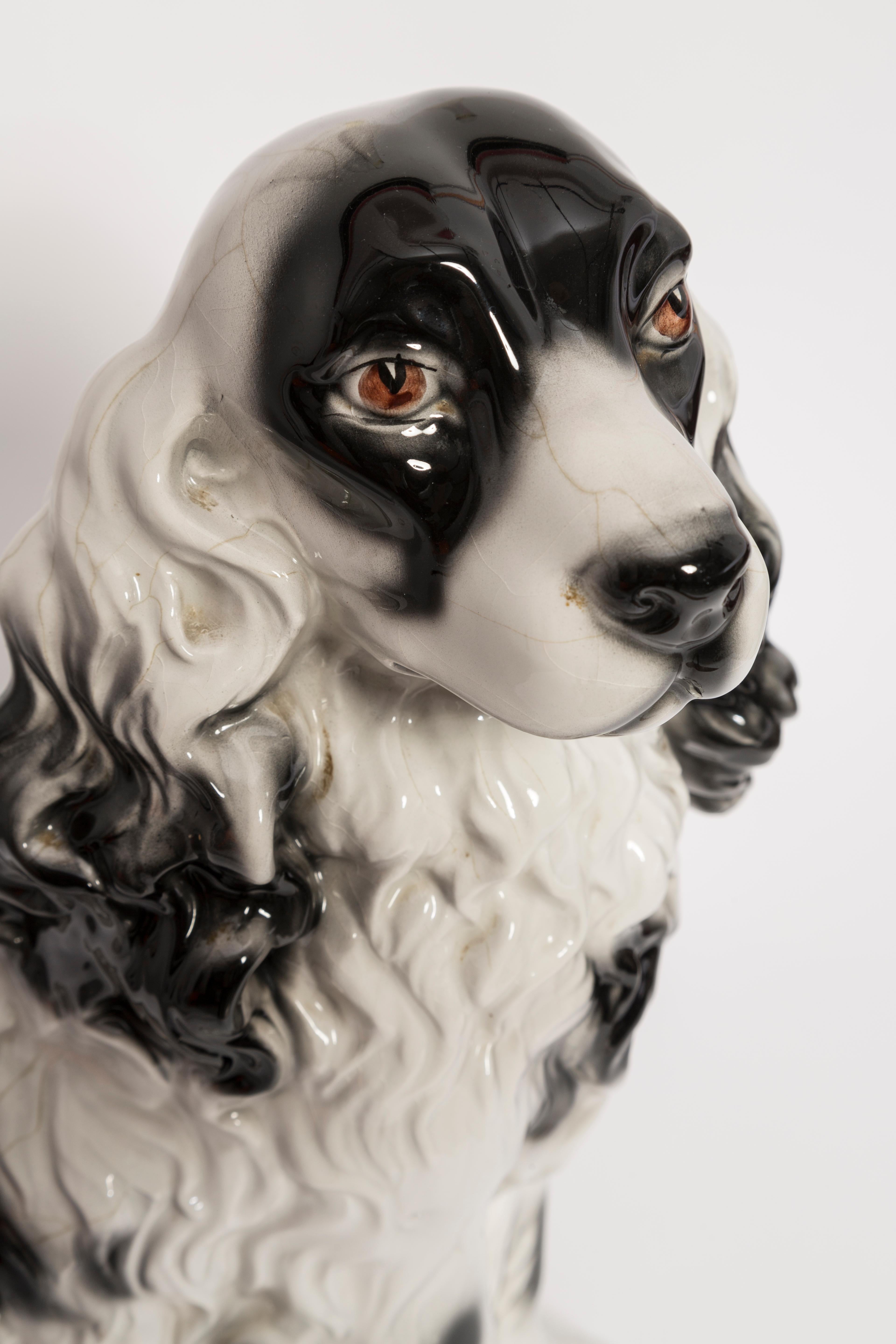 Italian Rare Ceramic Black and White Spaniel Dog Decorative Sculpture, Italy, 1960s