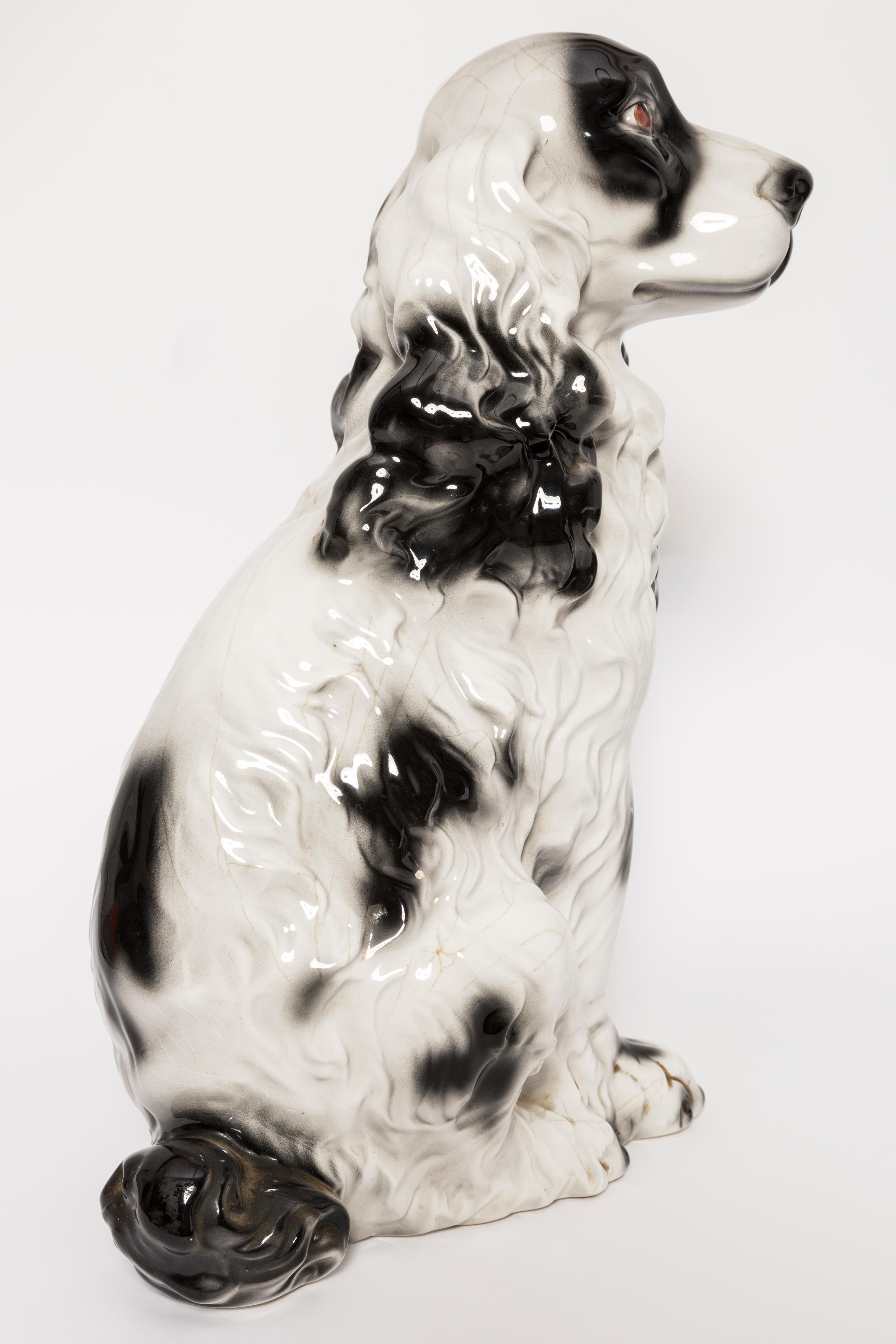 Rare Ceramic Black and White Spaniel Dog Decorative Sculpture, Italy, 1960s 1