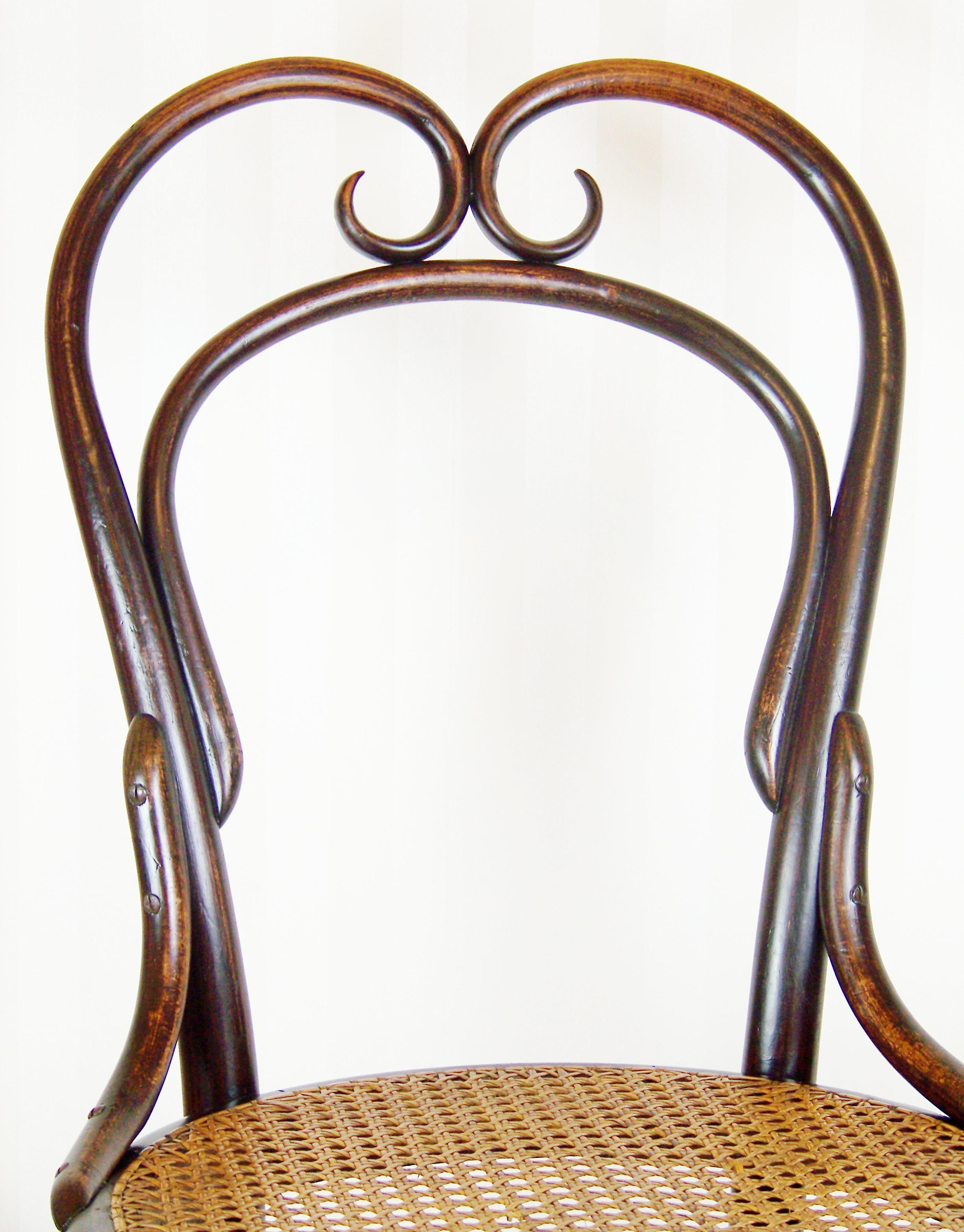 19th Century Rare Chair Thonet Nr.21 For Sale
