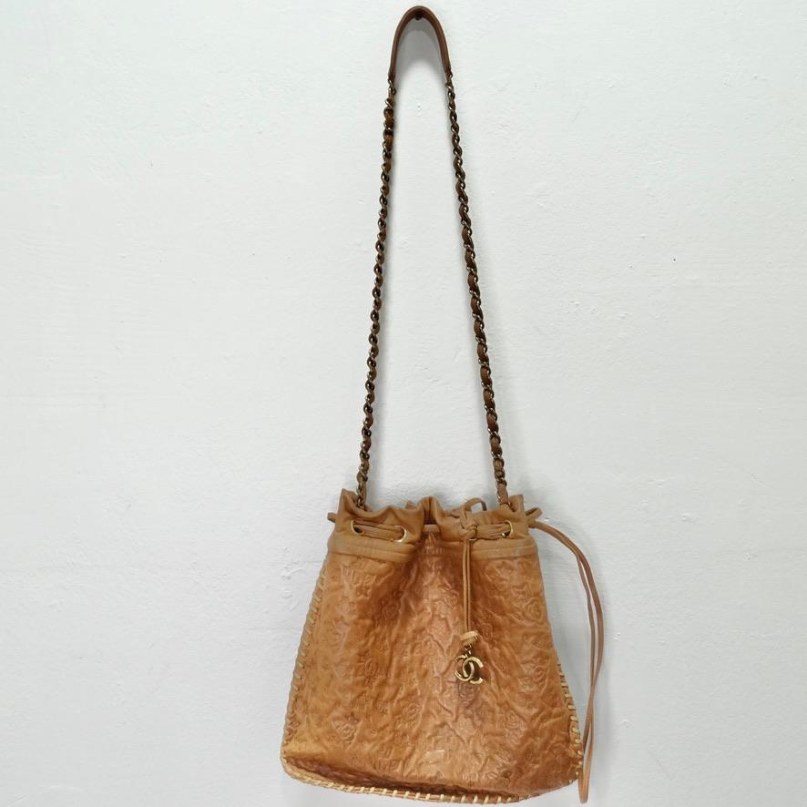 Brown Rare Chanel 2011 Crossbody Hobo Bag For Sale