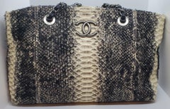 Seltene CHANEL Exotische Python gebeizte Umhängetasche