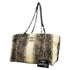 Rare CHANEL Exotic Python Chained Shoulder Bag