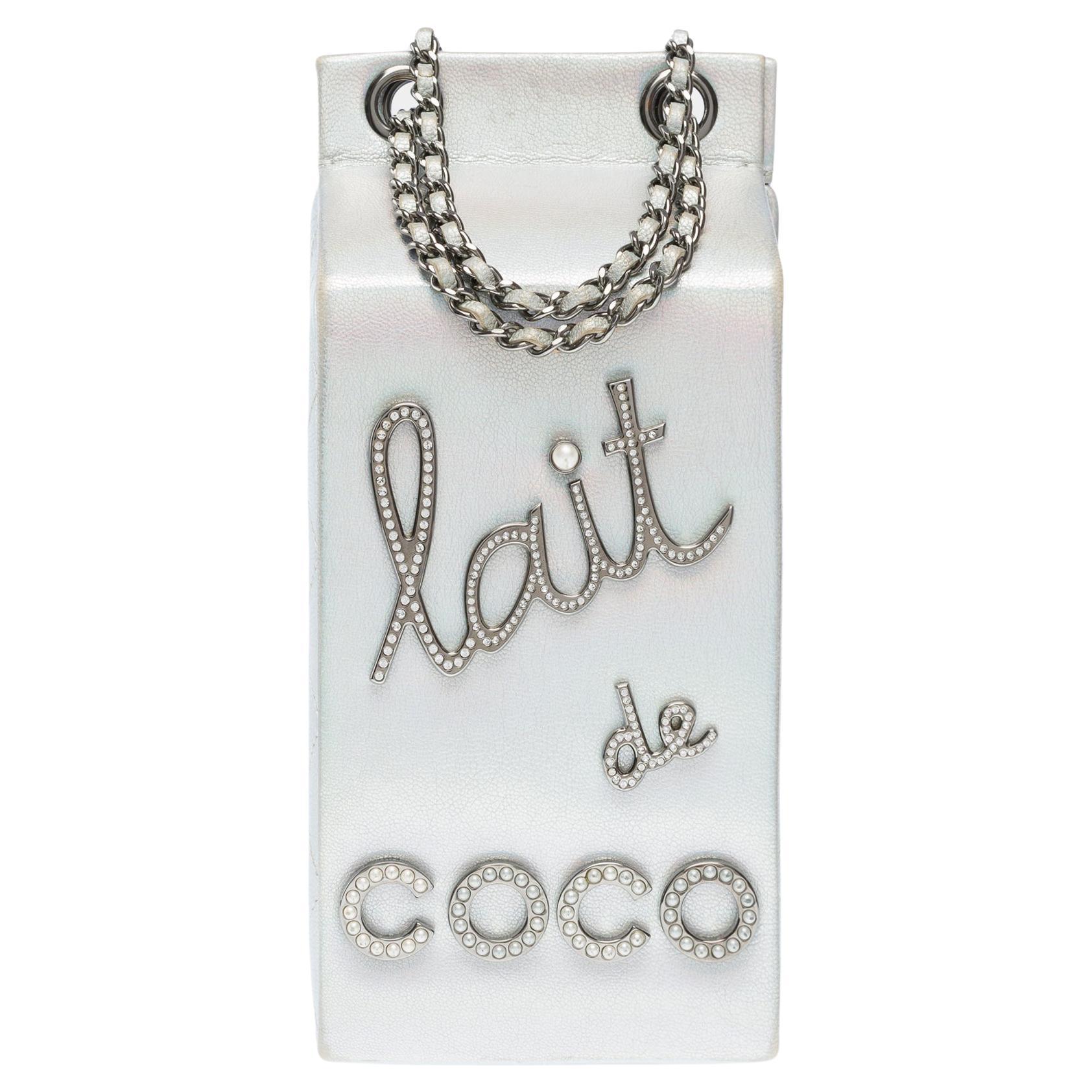 Rare Chanel Minaudière "Lait de Coco" shoulder bag in silver goat leather , RHW For Sale