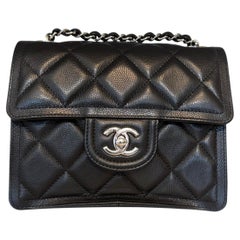 Rare Chanel Seasonal Mini Flap Bag