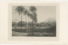 Seltene Chinesische Kugel-Aquatinta von Banyuwangi, Ostjapan, Indonesien, 1835