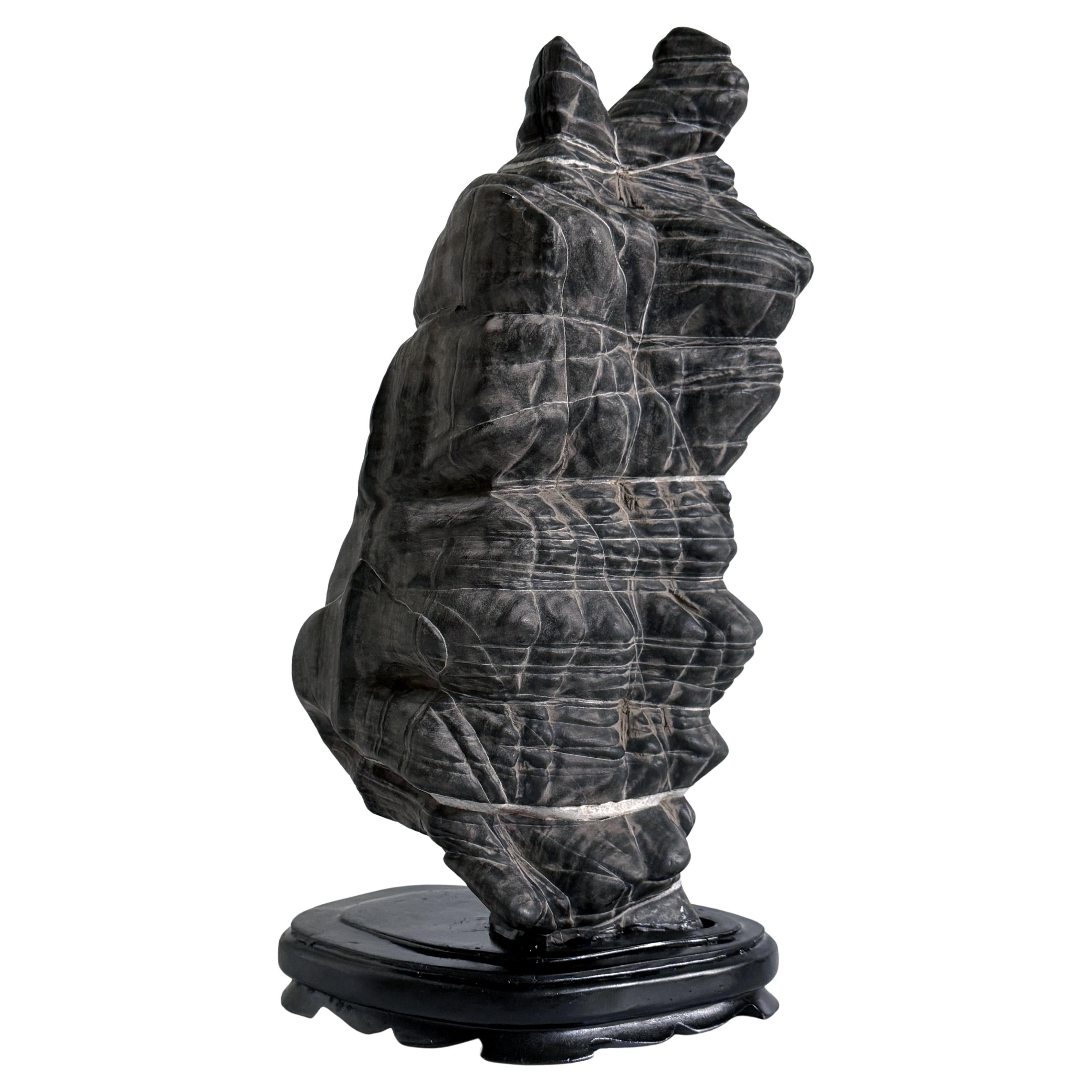 Rare Chinese Antique Black and White Lingbi Scholar Stone on Display Stand For Sale