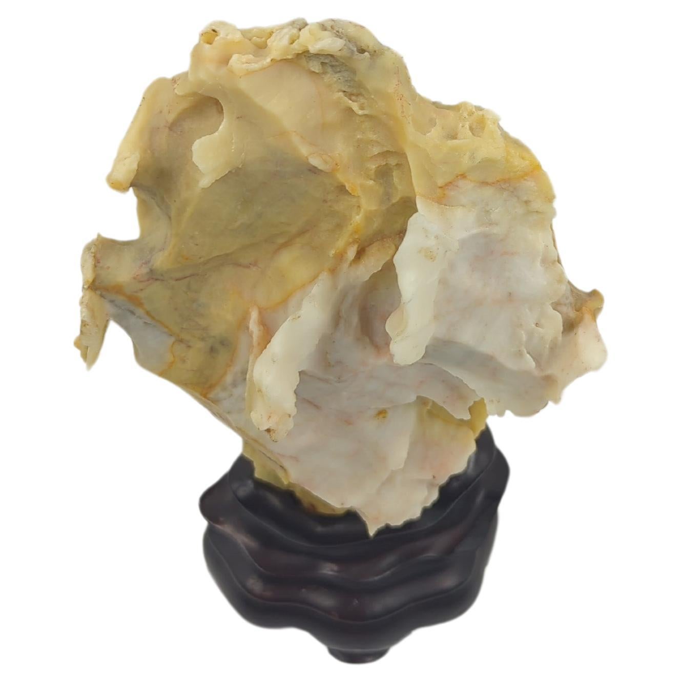 Seltene chinesische Gelb & Weiß Gongshi Scholar's Stone Golden Cabbage On Stand 20c im Angebot 6