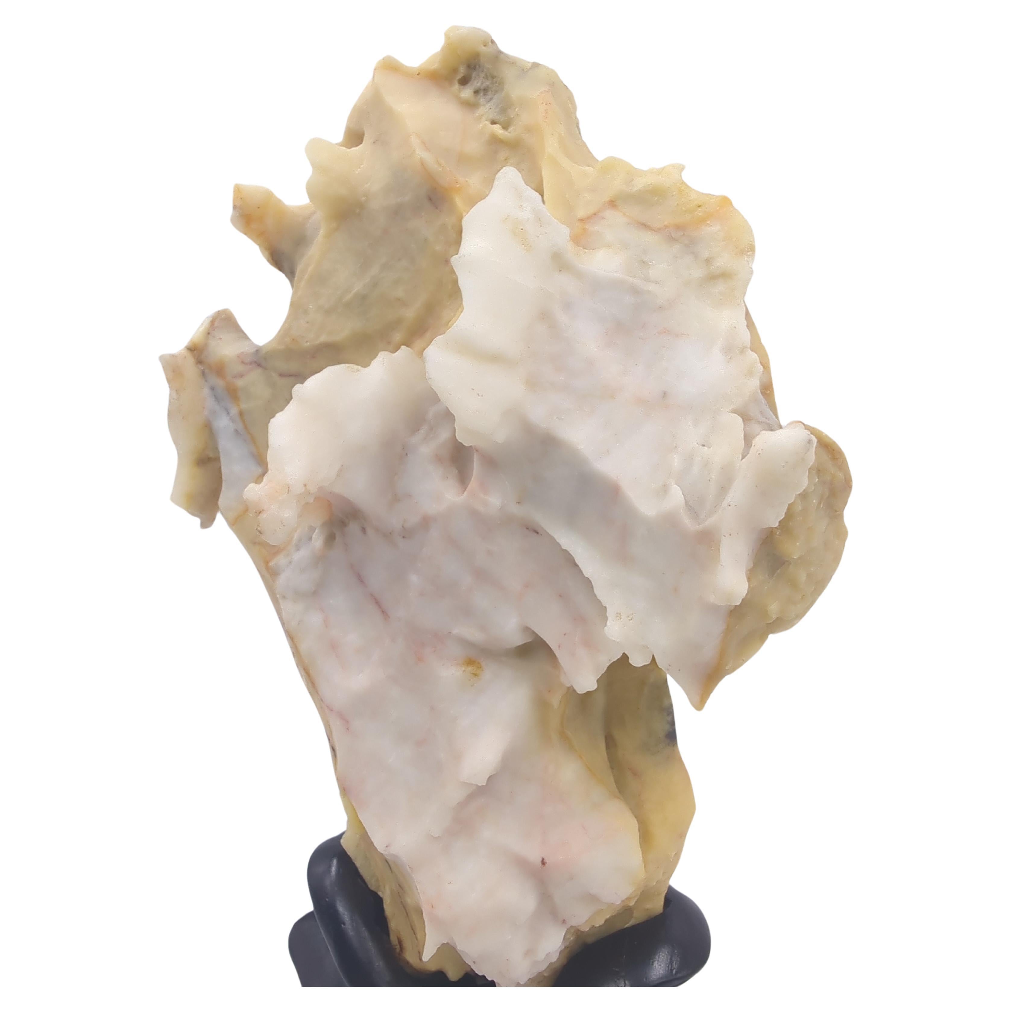 Rare Chinese Yellow & White Gongshi Scholar's Stone Golden Cabbage On Stand 20c For Sale 10