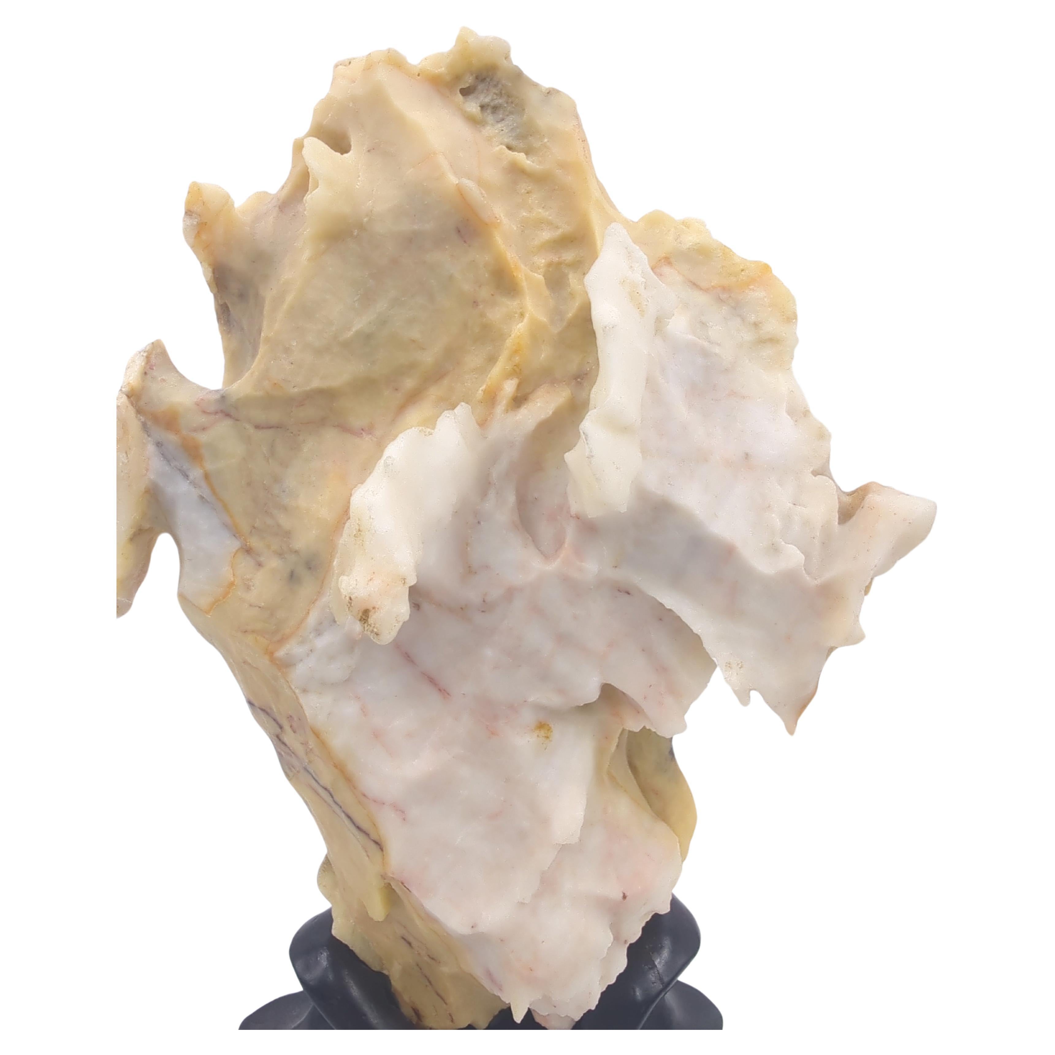 Rare Chinese Yellow & White Gongshi Scholar's Stone Golden Cabbage On Stand 20c For Sale 12