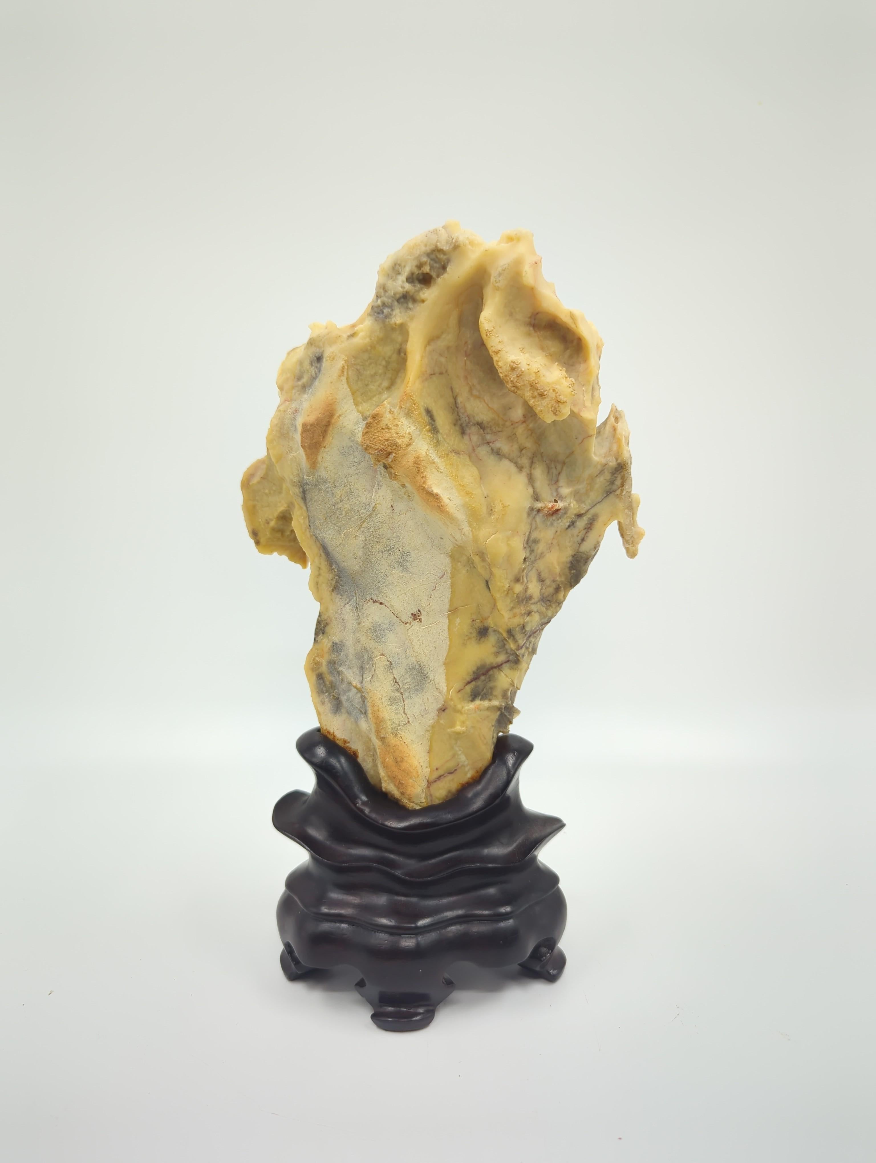 This rare Chinese Gongshi, or scholar's stone, is a remarkable and highly auspicious item, celebrated not only for its natural beauty but also for its cultural significance. Featuring a striking combination of yellow and white, the stone bears a