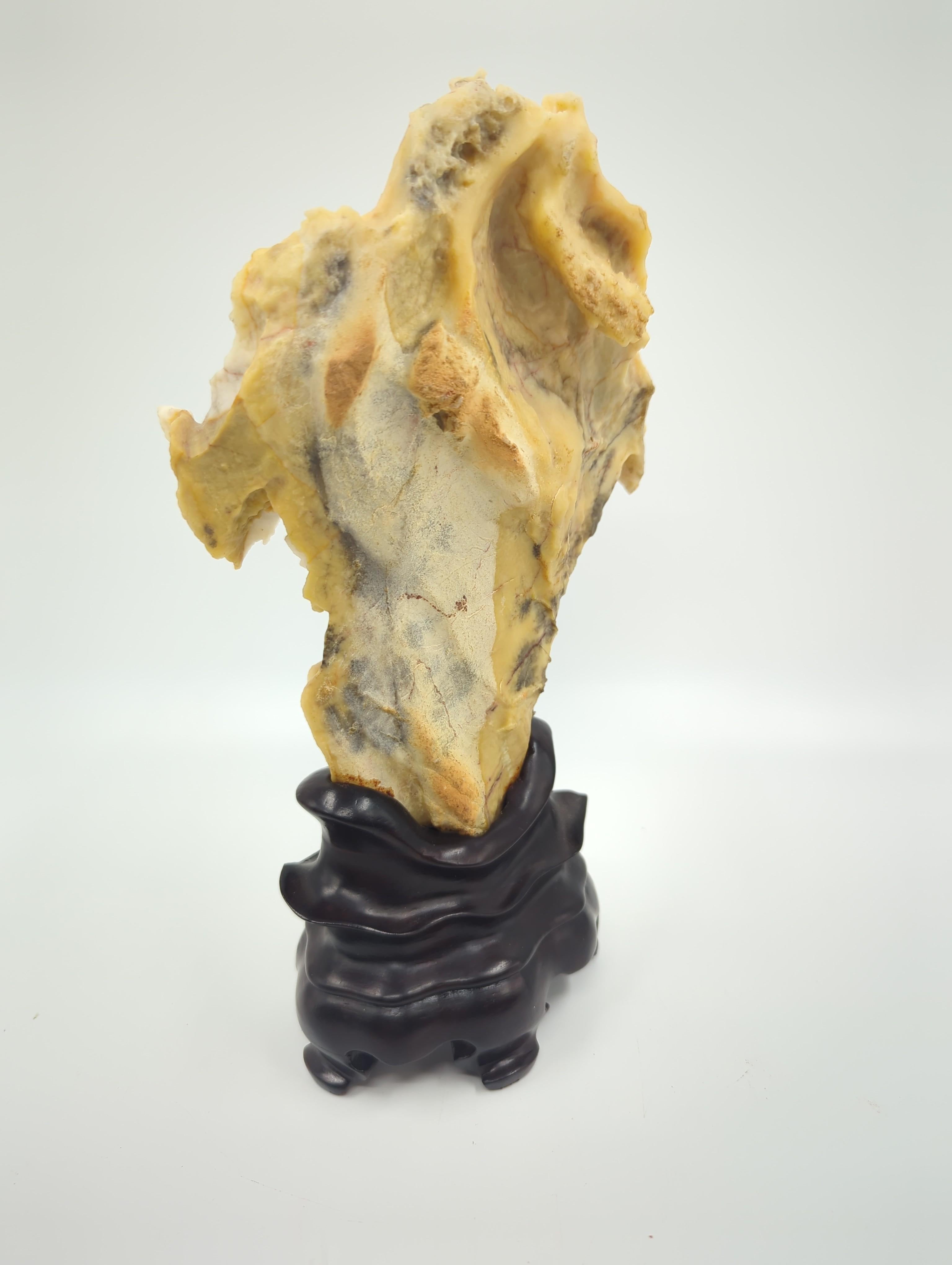 Qing Rare Chinese Yellow & White Gongshi Scholar's Stone Golden Cabbage On Stand 20c For Sale