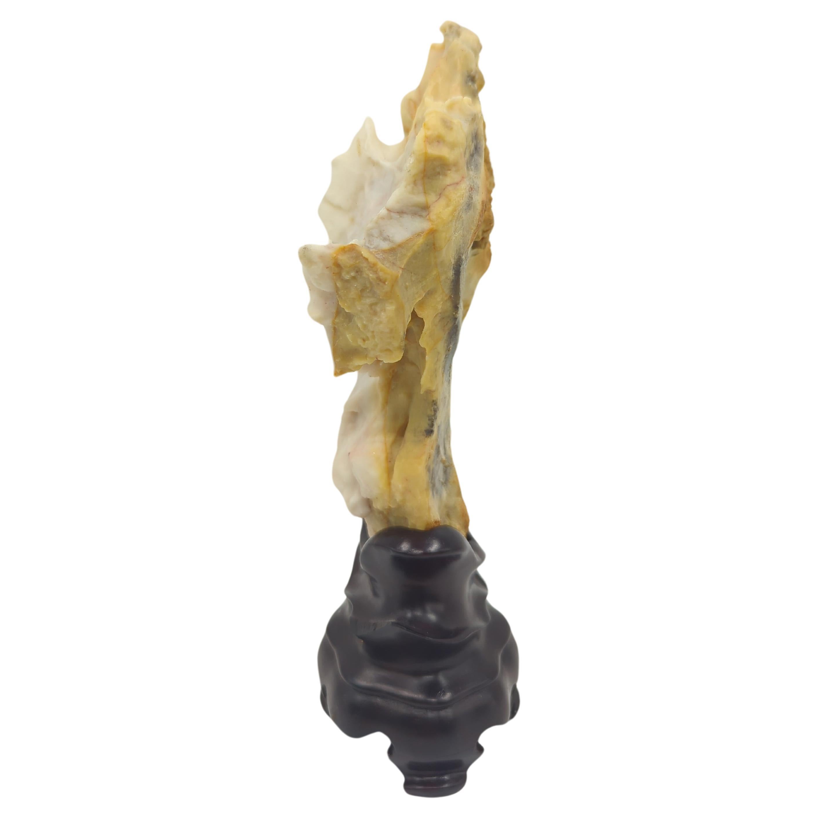 20th Century Rare Chinese Yellow & White Gongshi Scholar's Stone Golden Cabbage On Stand 20c For Sale