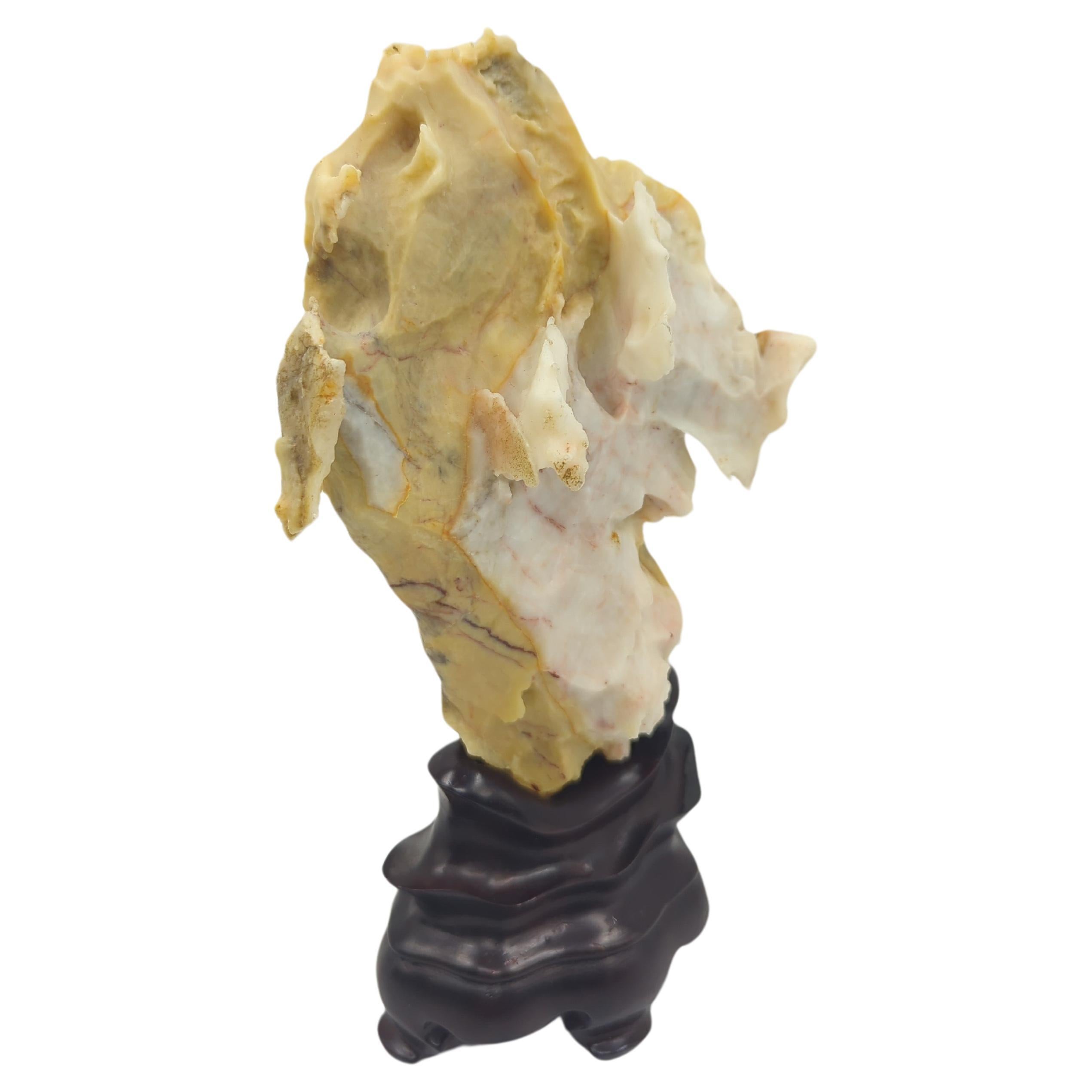 Rare Chinese Yellow & White Gongshi Scholar's Stone Golden Cabbage On Stand 20c For Sale 1