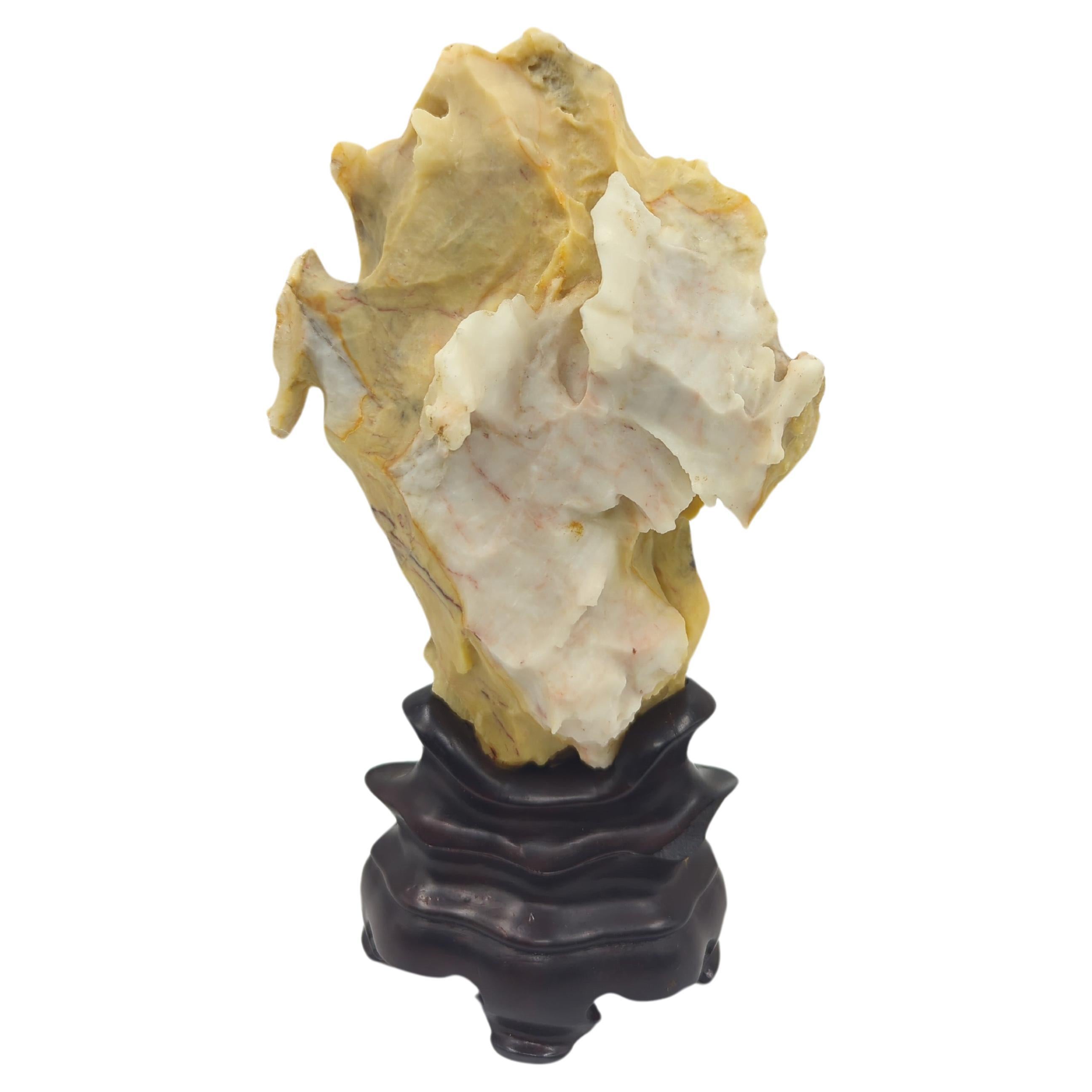 Rare Chinese Yellow & White Gongshi Scholar's Stone Golden Cabbage On Stand 20c For Sale 3