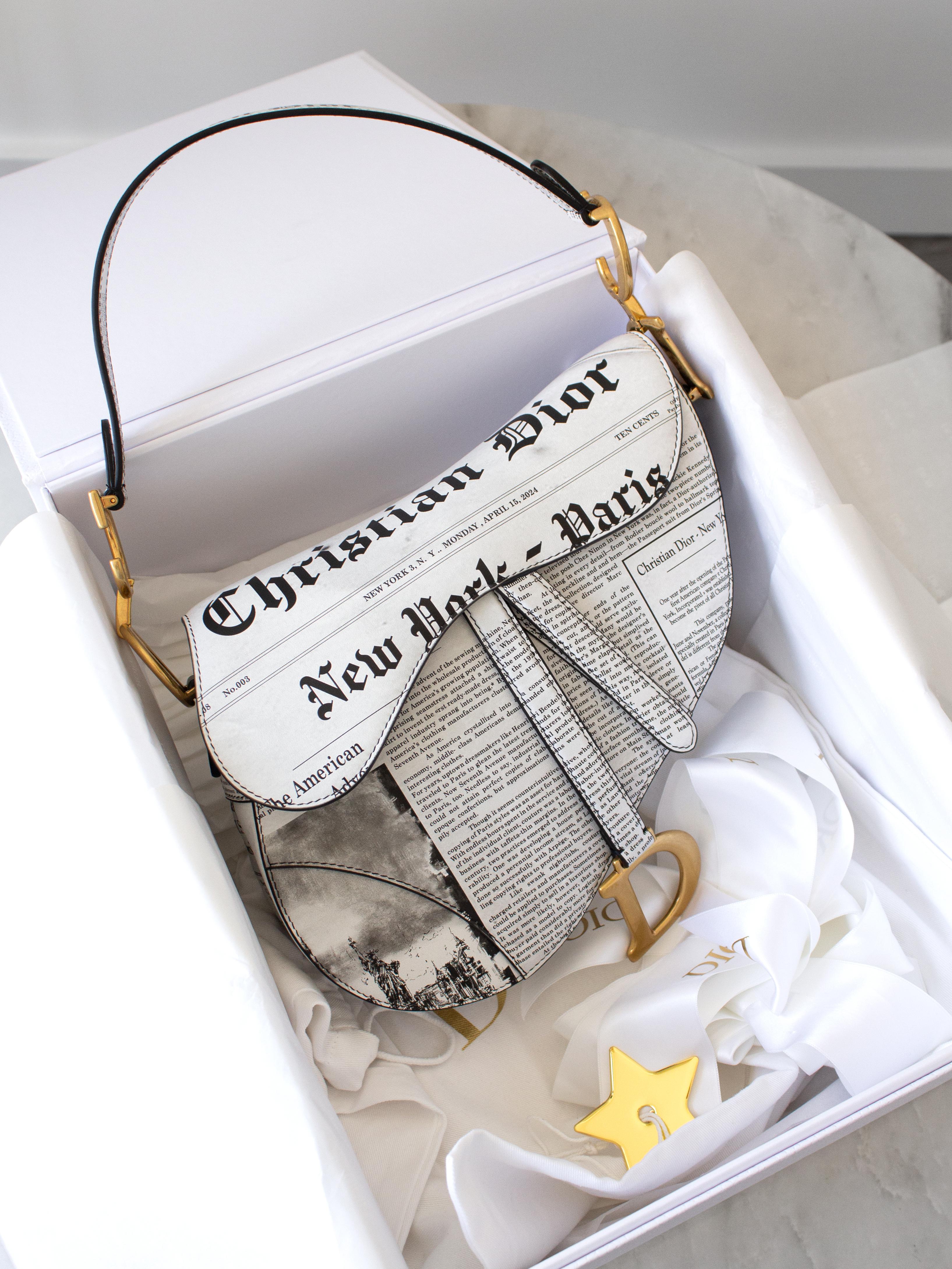 Christian dior newspaper bag sale